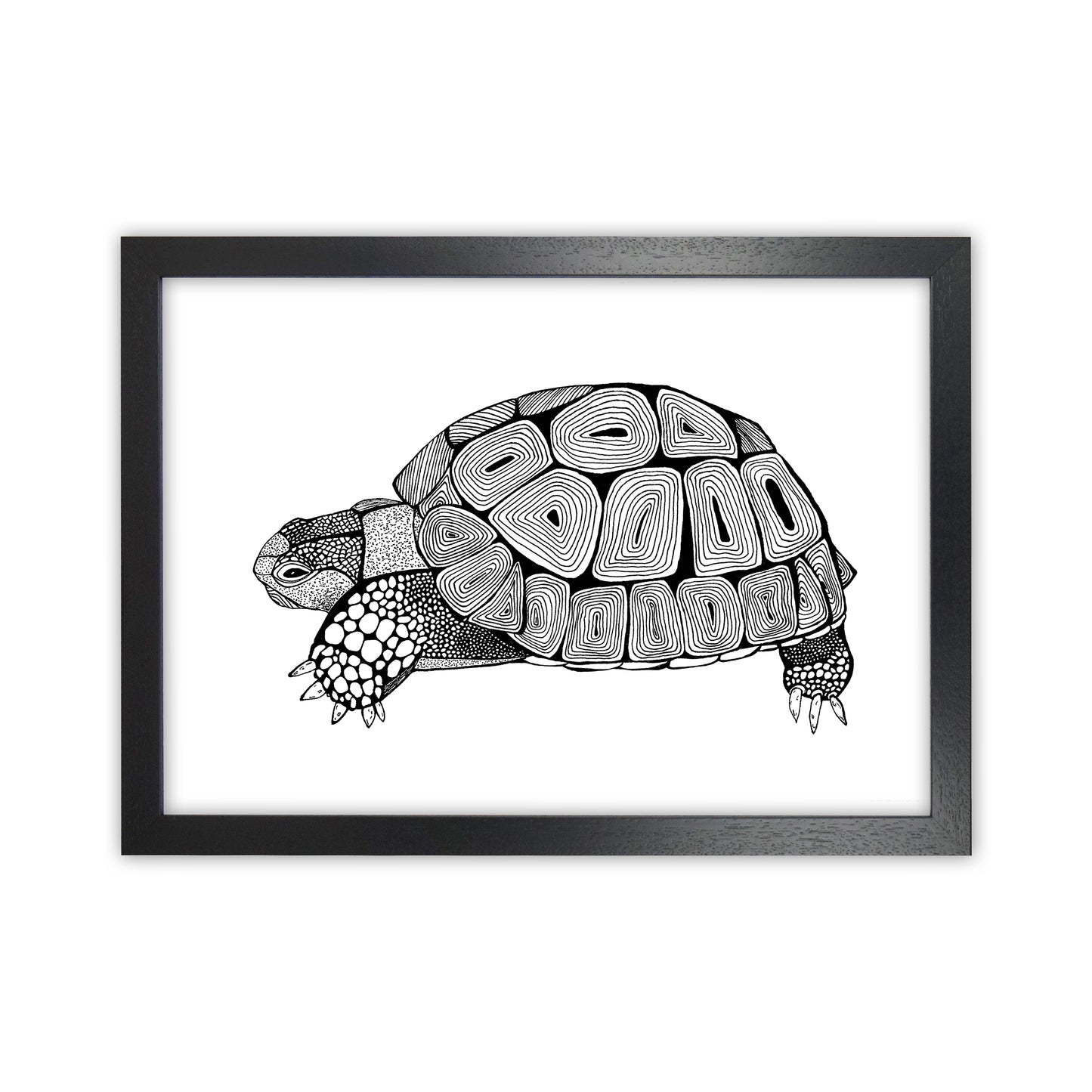 Tortoise Art Print by Carissa Tanton Black Grain