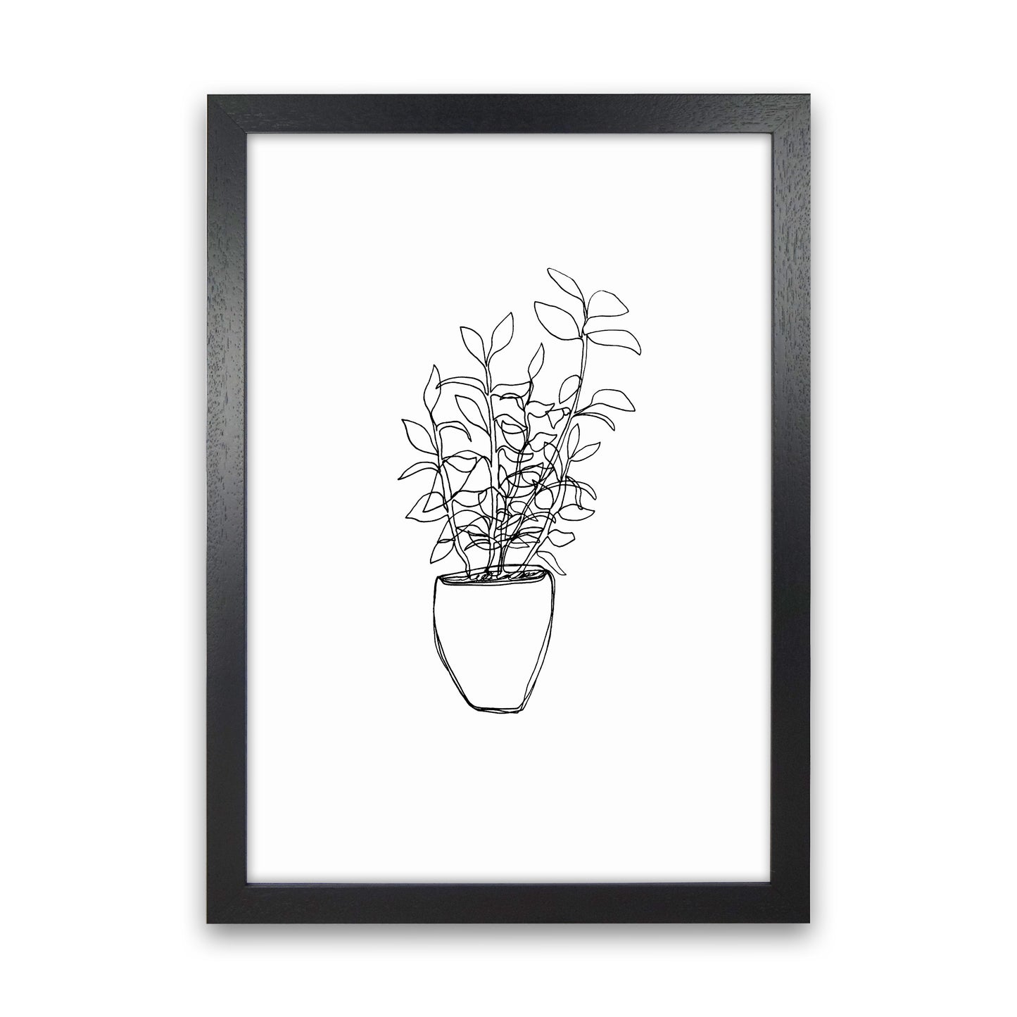 Tea Plant Art Print by Carissa Tanton Black Grain