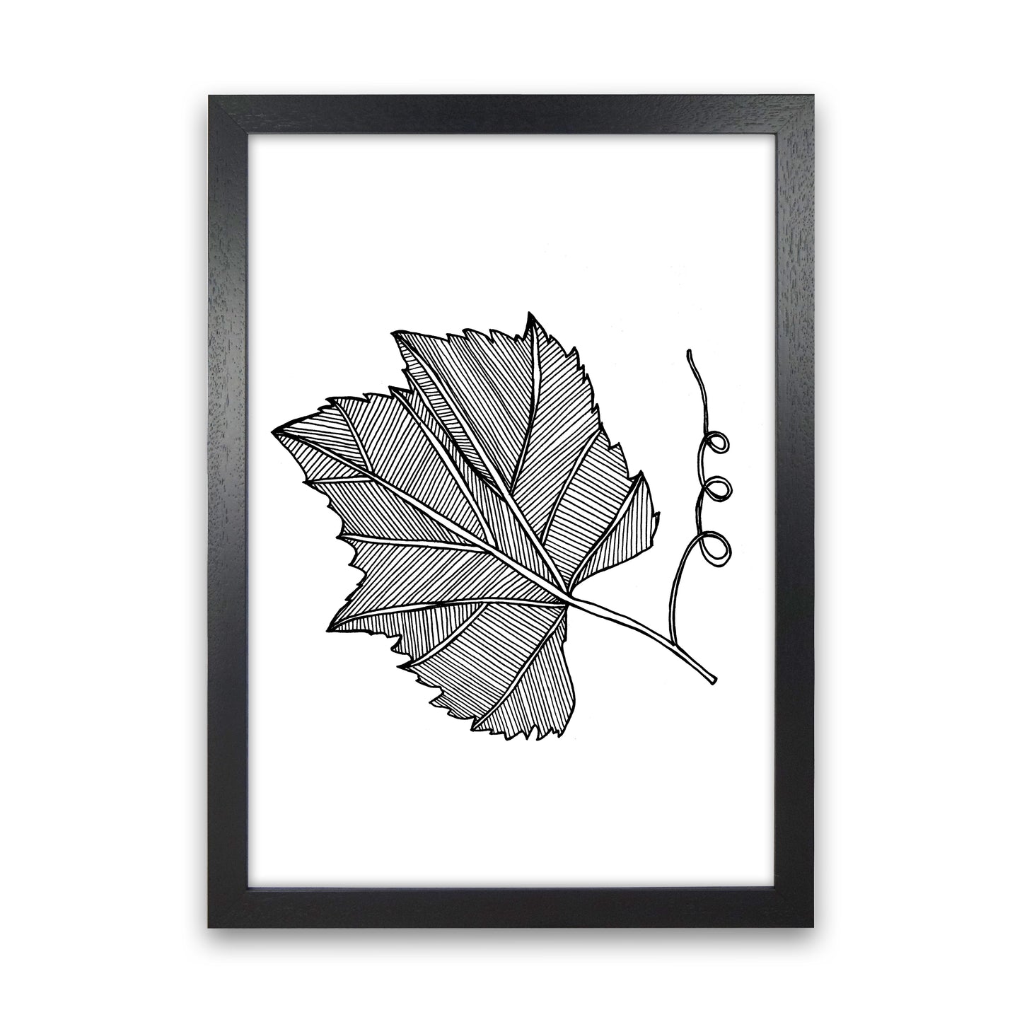 Vine Leaf Art Print by Carissa Tanton Black Grain