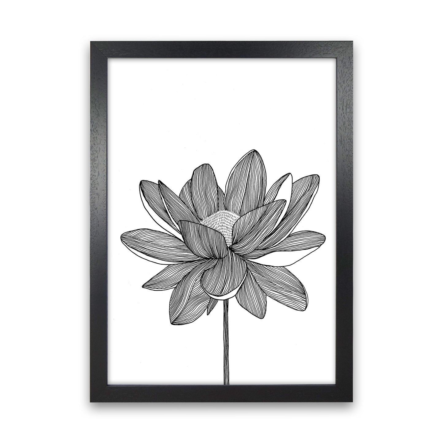 Lotus Art Print by Carissa Tanton Black Grain