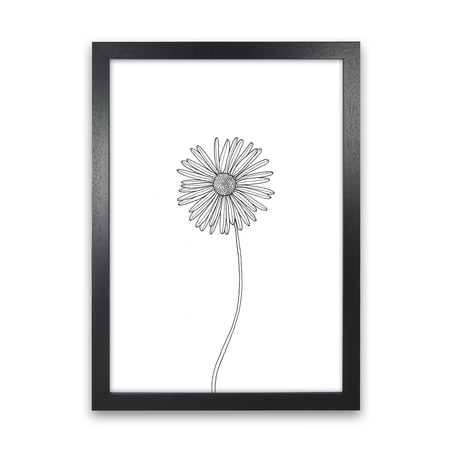 Daisy Art Print by Carissa Tanton Black Grain