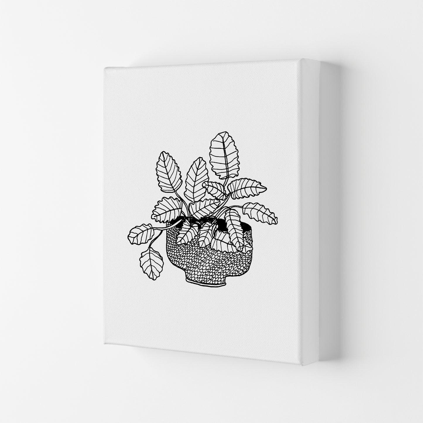 Peppermint Art Print by Carissa Tanton Canvas