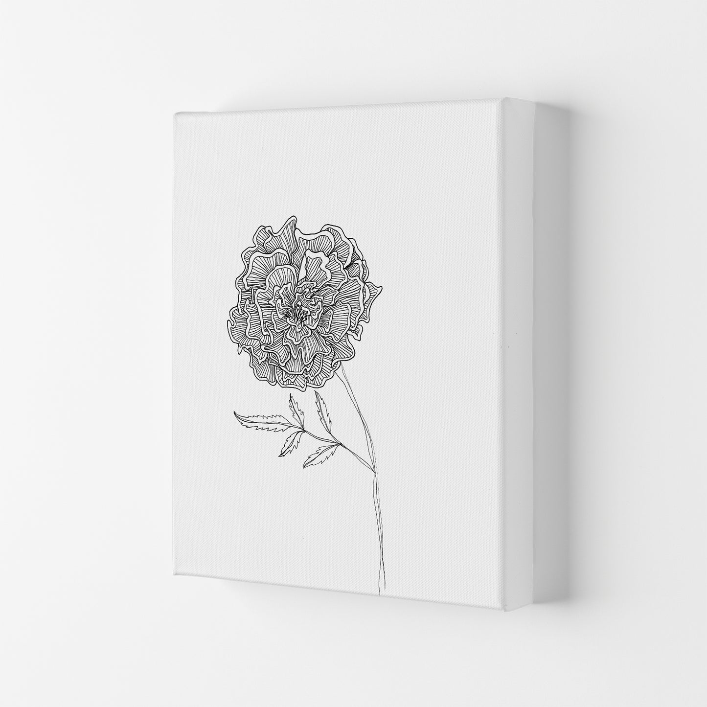 Marigold Art Print by Carissa Tanton Canvas