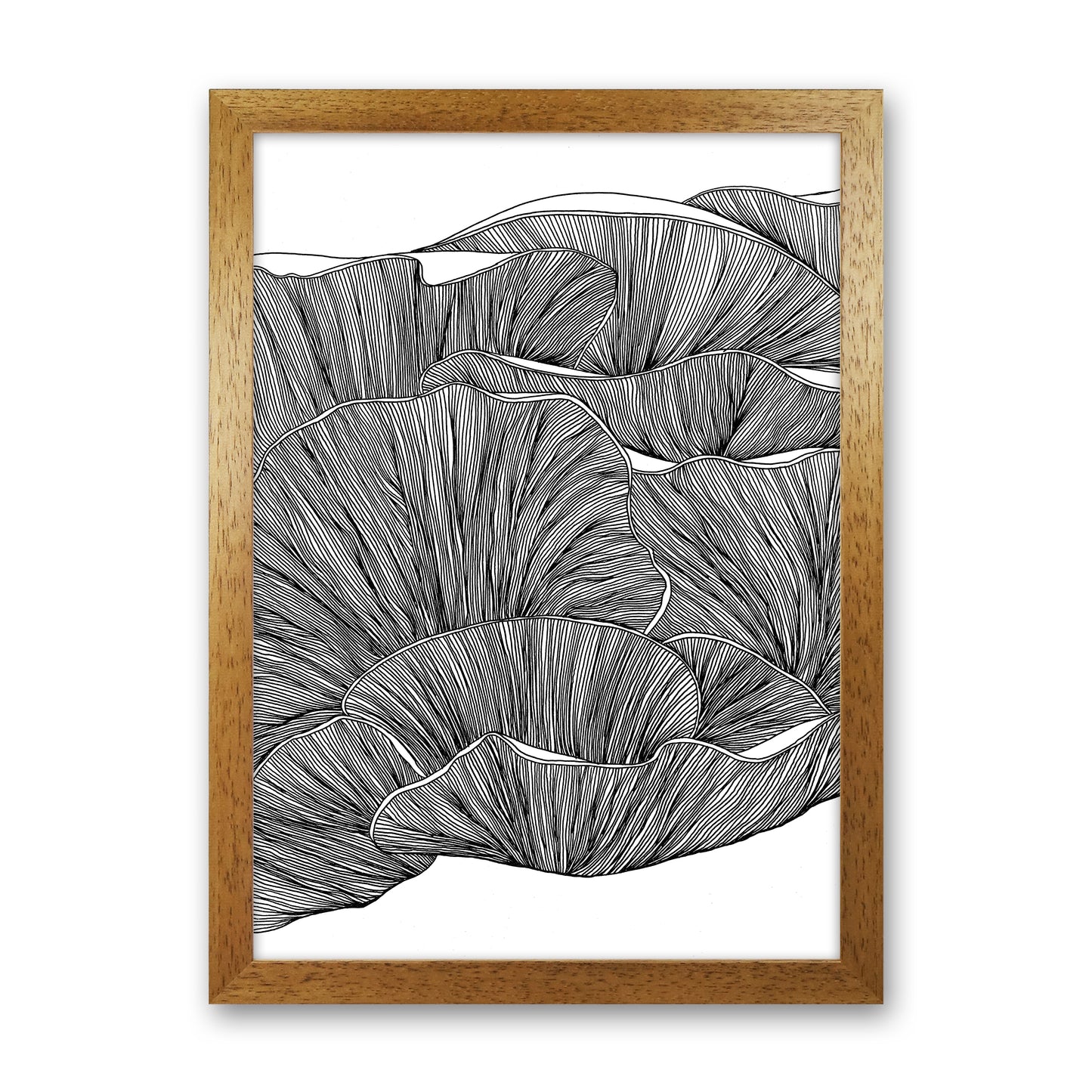 Oyster Mushrooms BW Art Print by Carissa Tanton Oak Grain