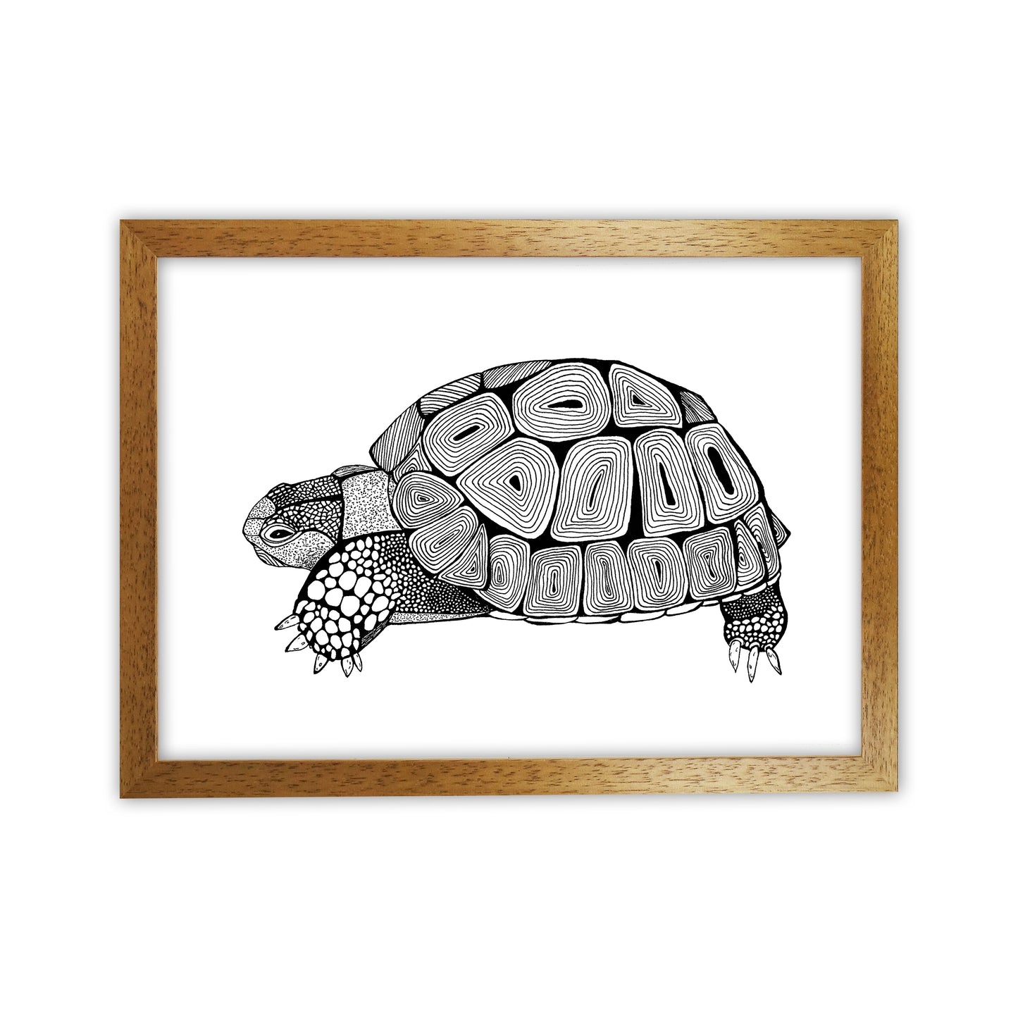 Tortoise Art Print by Carissa Tanton Oak Grain