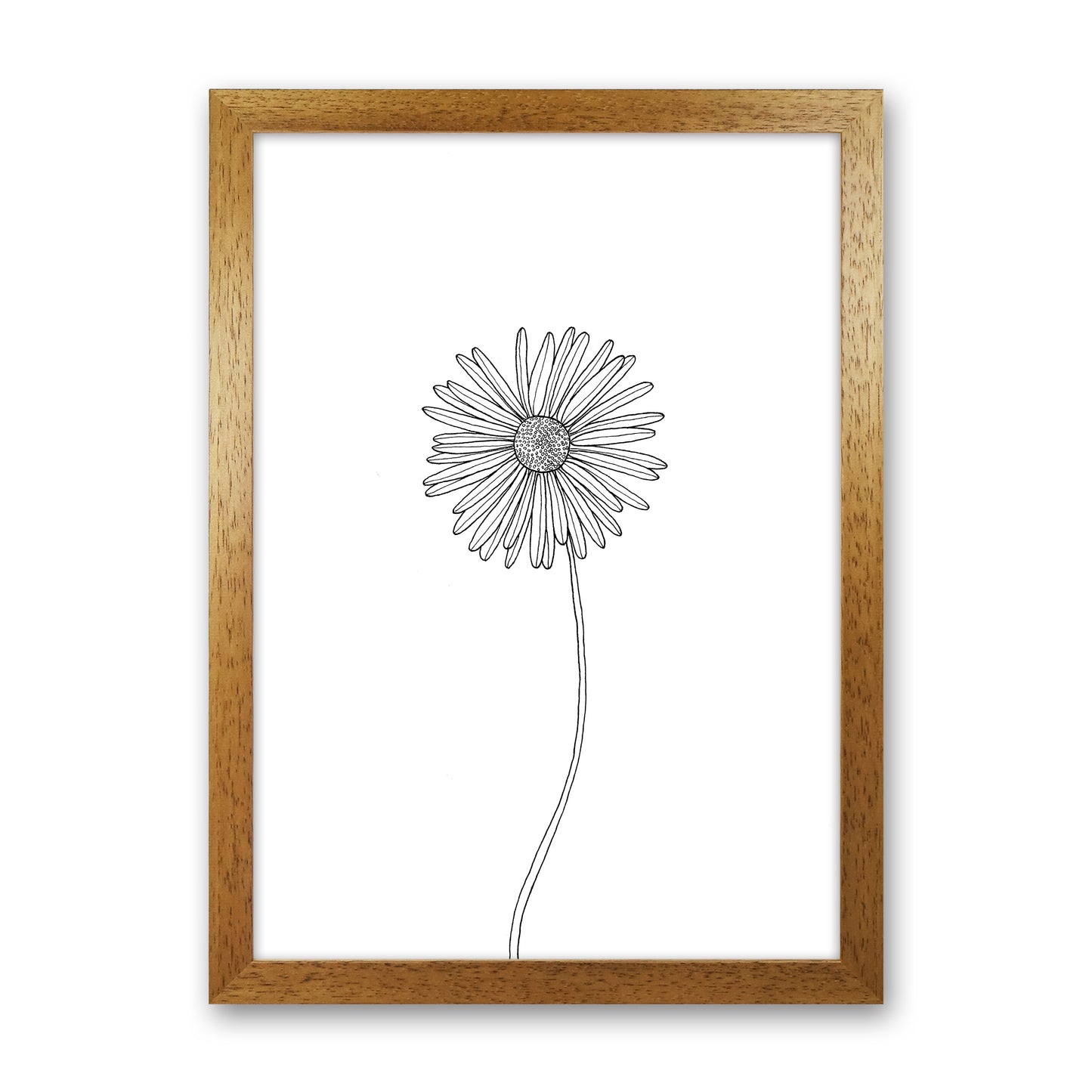 Daisy Art Print by Carissa Tanton Oak Grain