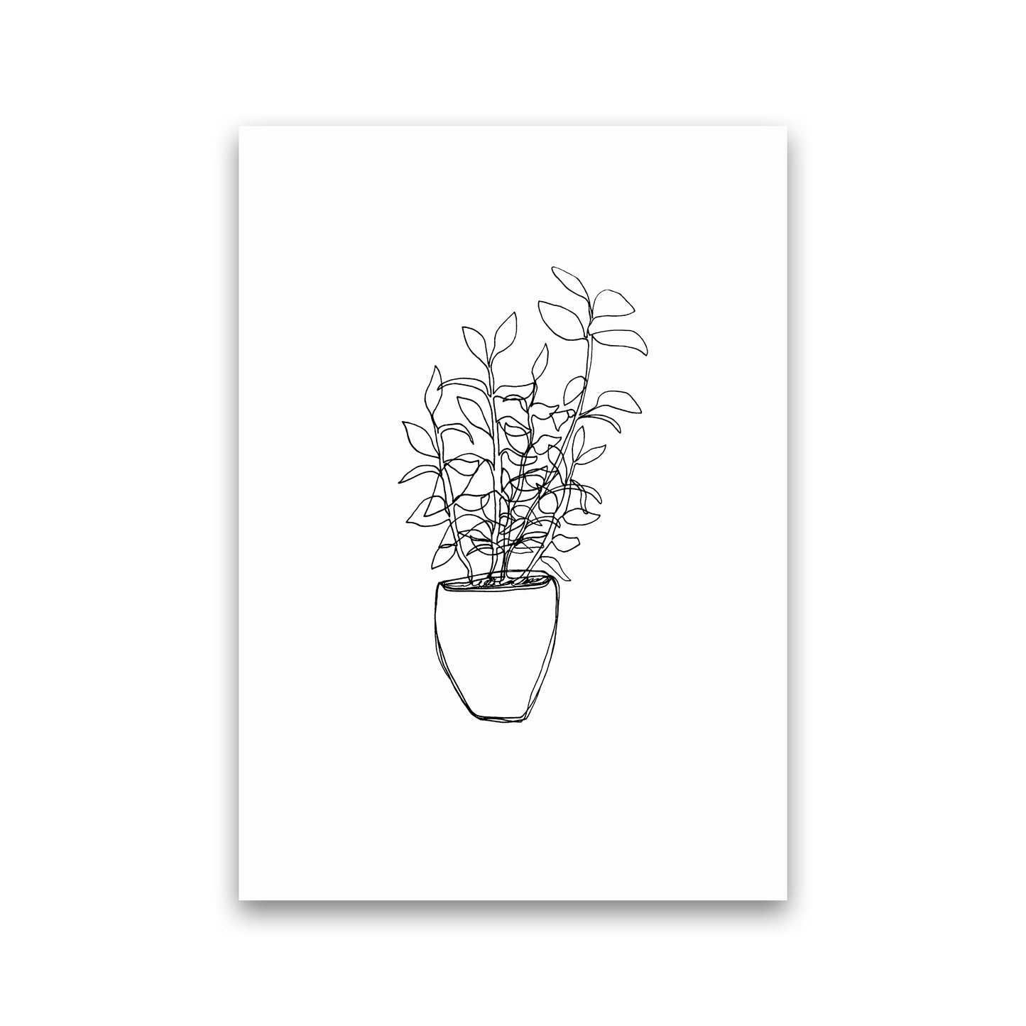 Tea Plant Art Print by Carissa Tanton Print Only