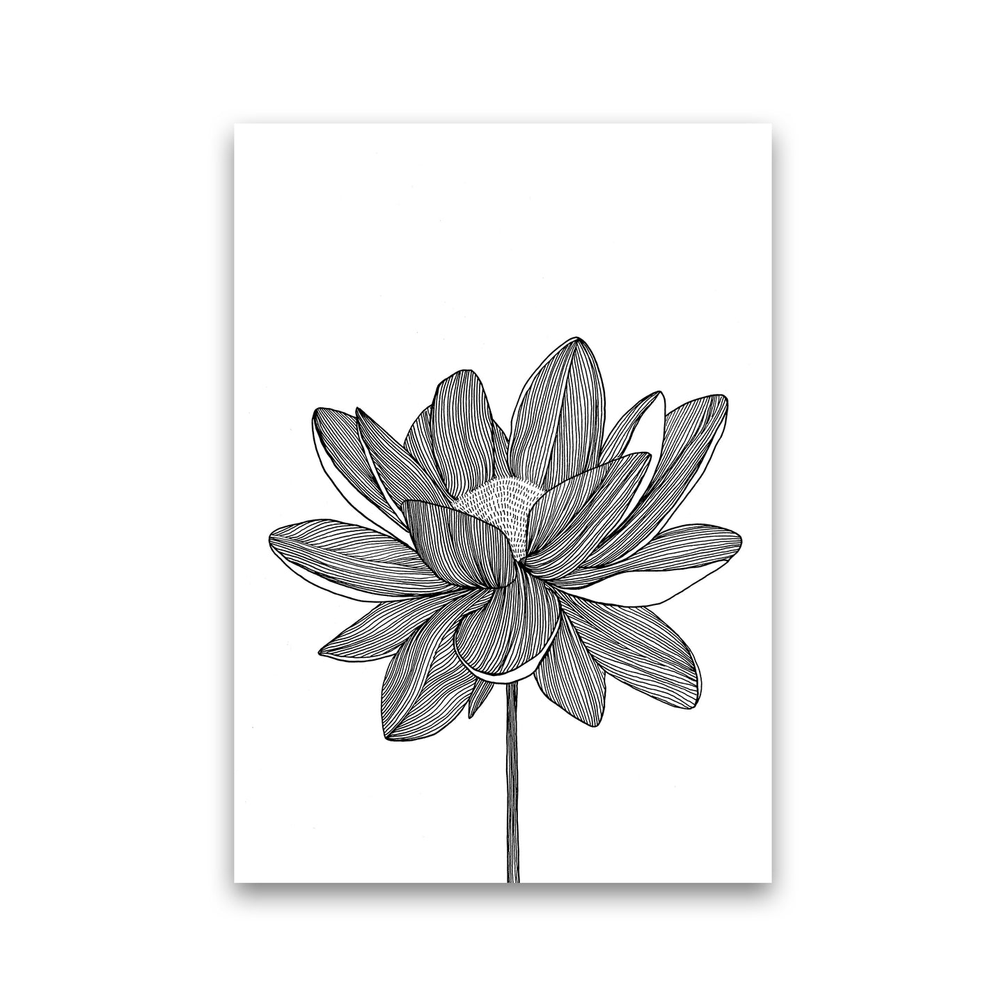 Lotus Art Print by Carissa Tanton Print Only