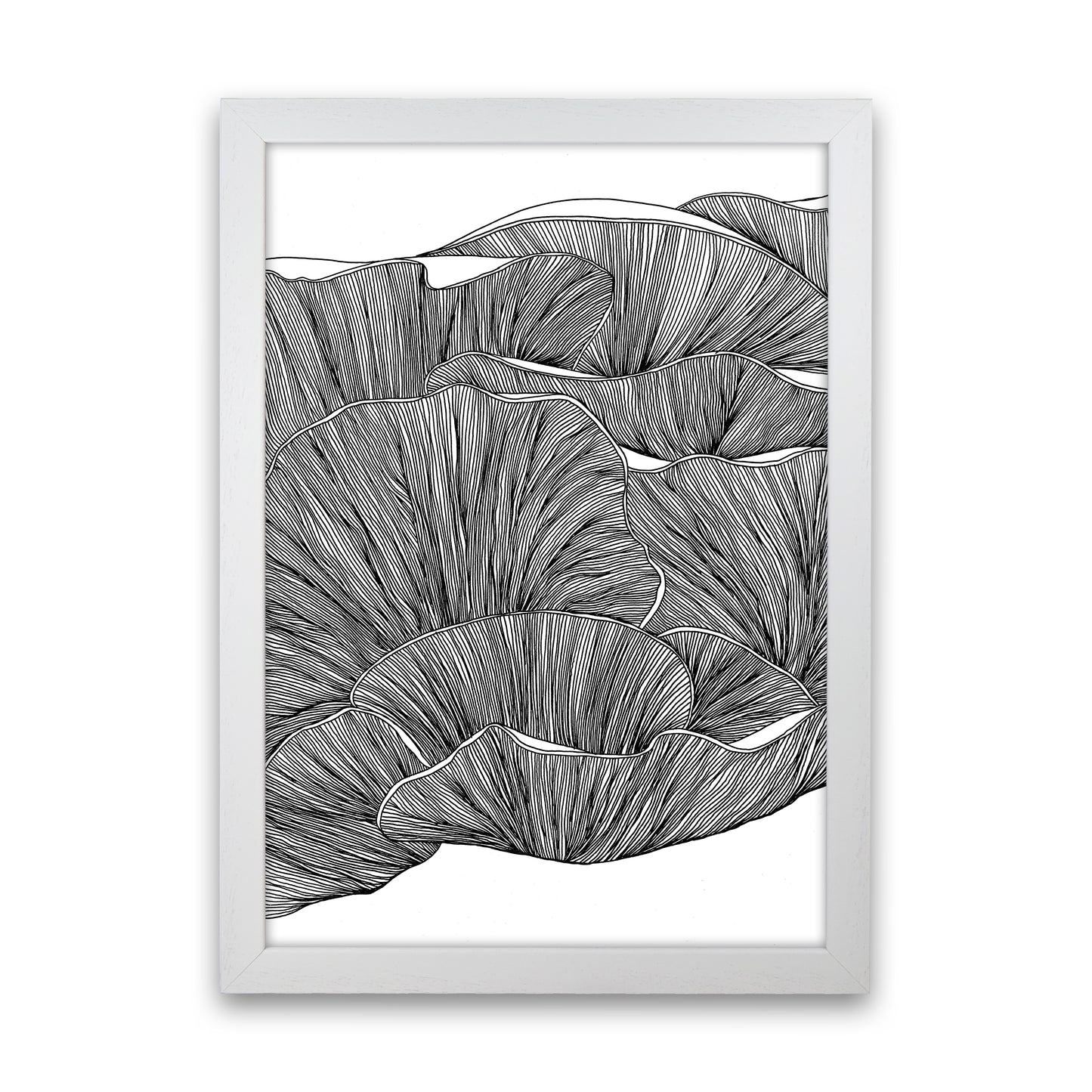 Oyster Mushrooms BW Art Print by Carissa Tanton White Grain