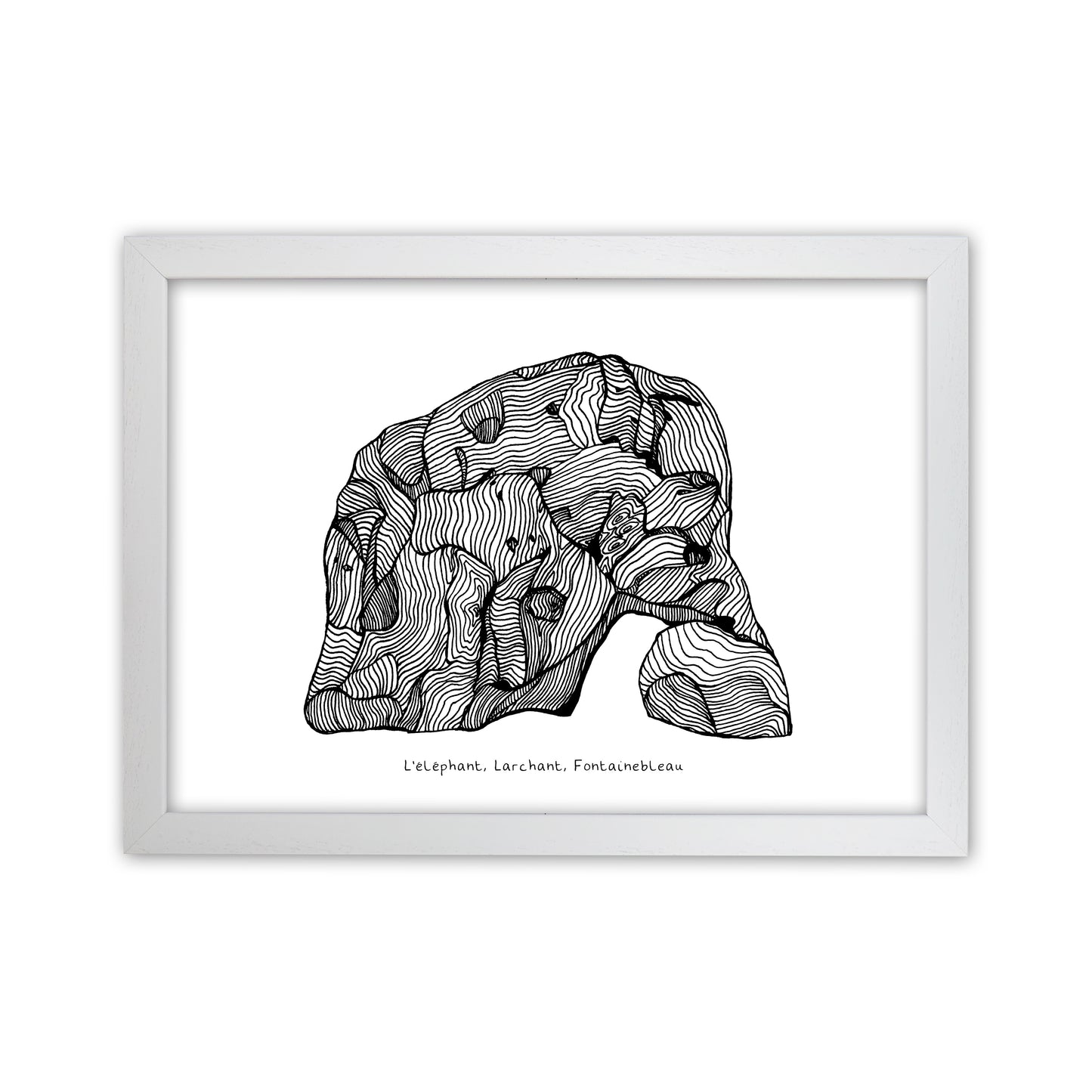 Font Elephant Art Print by Carissa Tanton White Grain