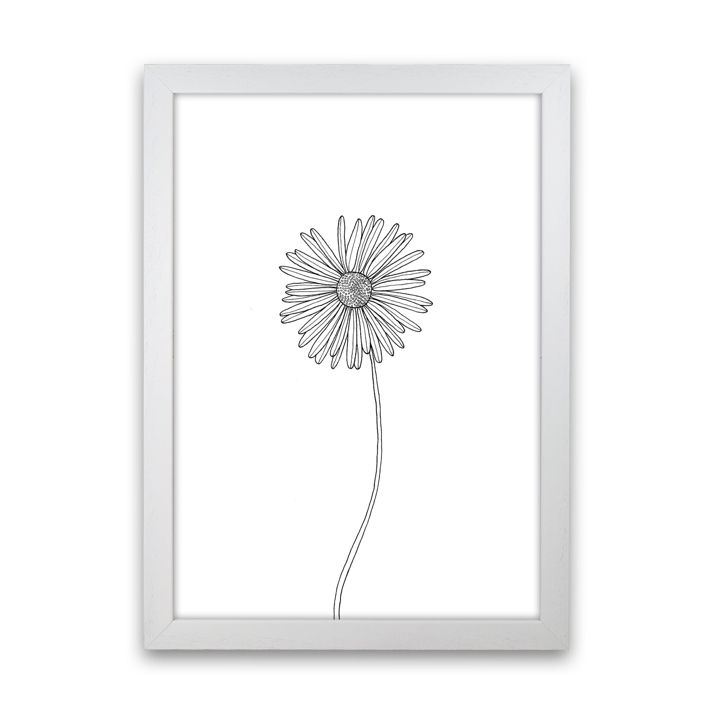 Daisy Art Print by Carissa Tanton White Grain