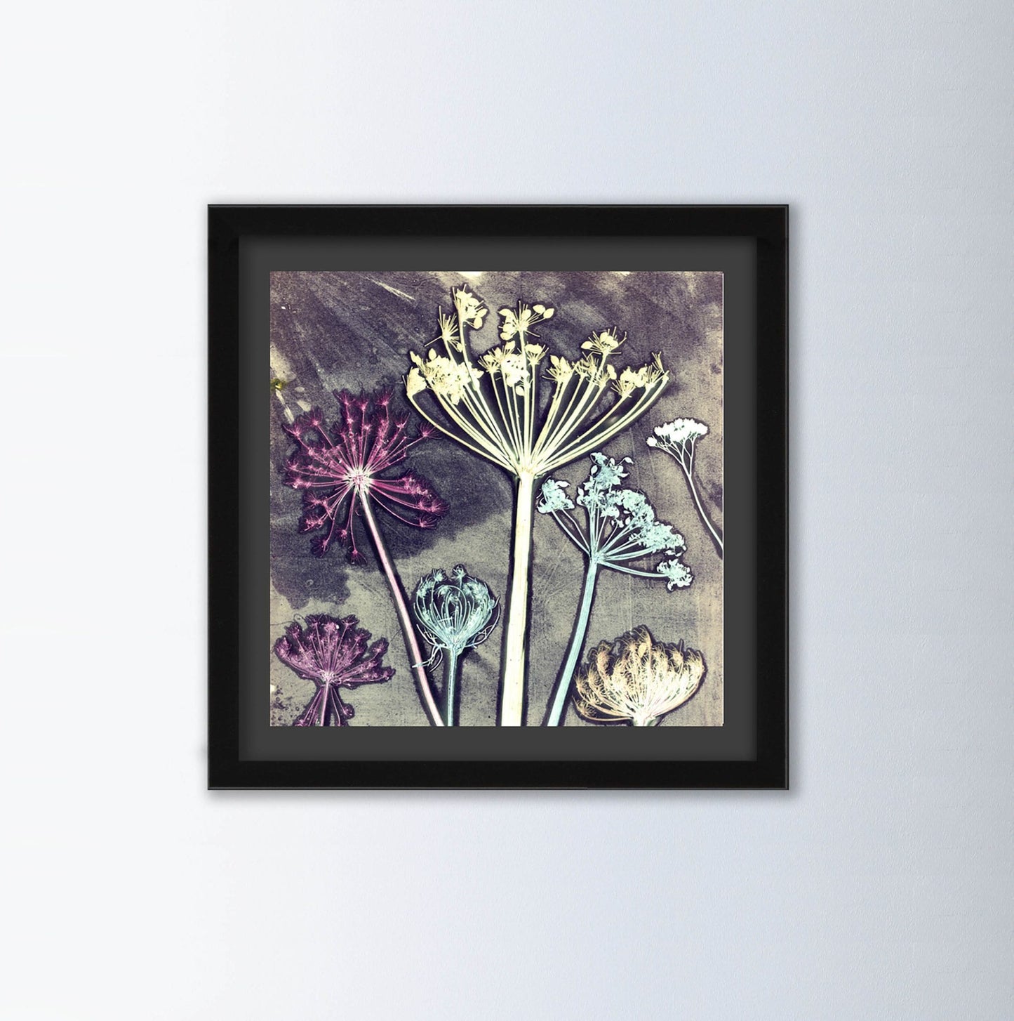 Friary Meadow By Gillian Arnold