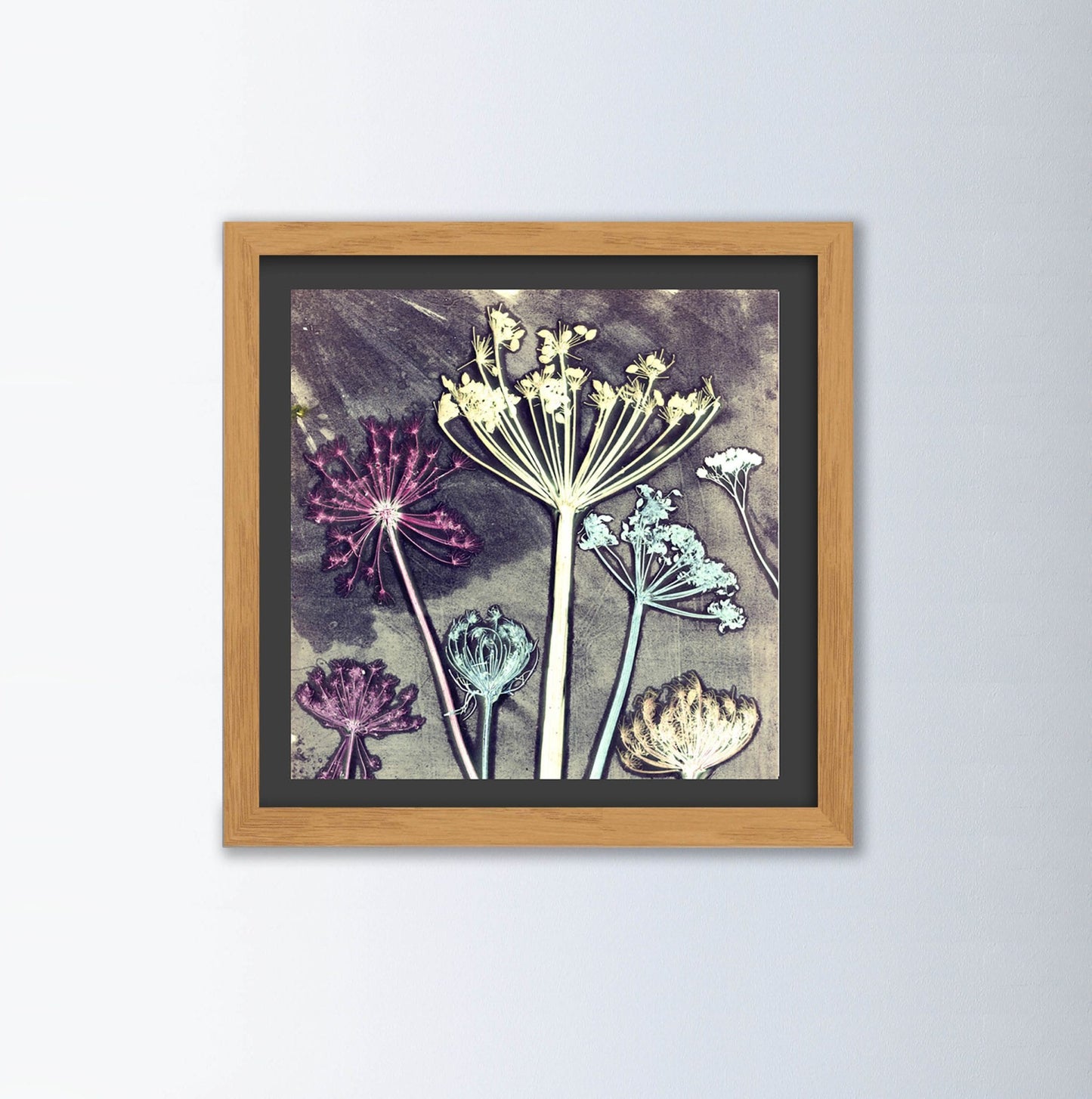 Friary Meadow By Gillian Arnold