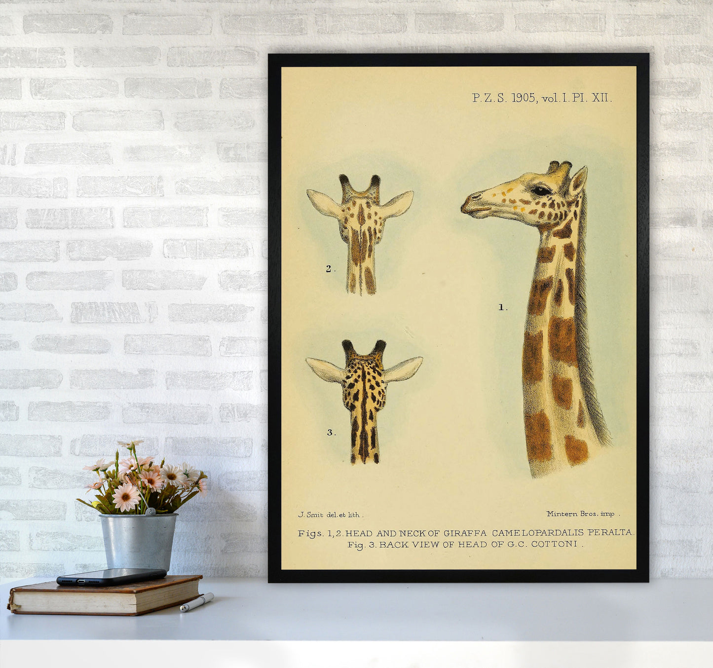 Longest Neck In The Jungle Art Print by Jason Stanley A1 White Frame