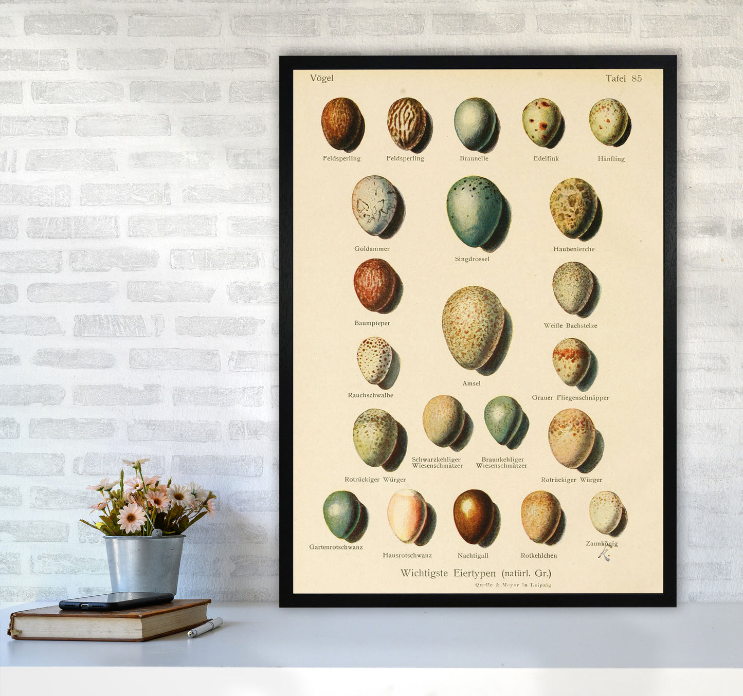 Vintage Set Of Eggs Art Print by Jason Stanley A1 White Frame