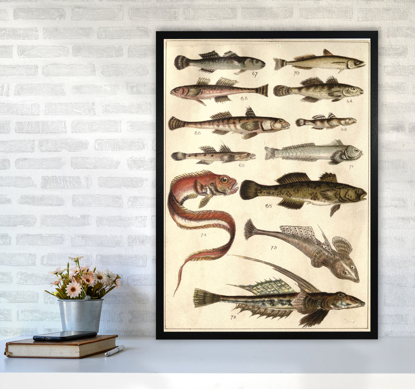 Creatures Of The Sea Art Print by Jason Stanley A1 White Frame