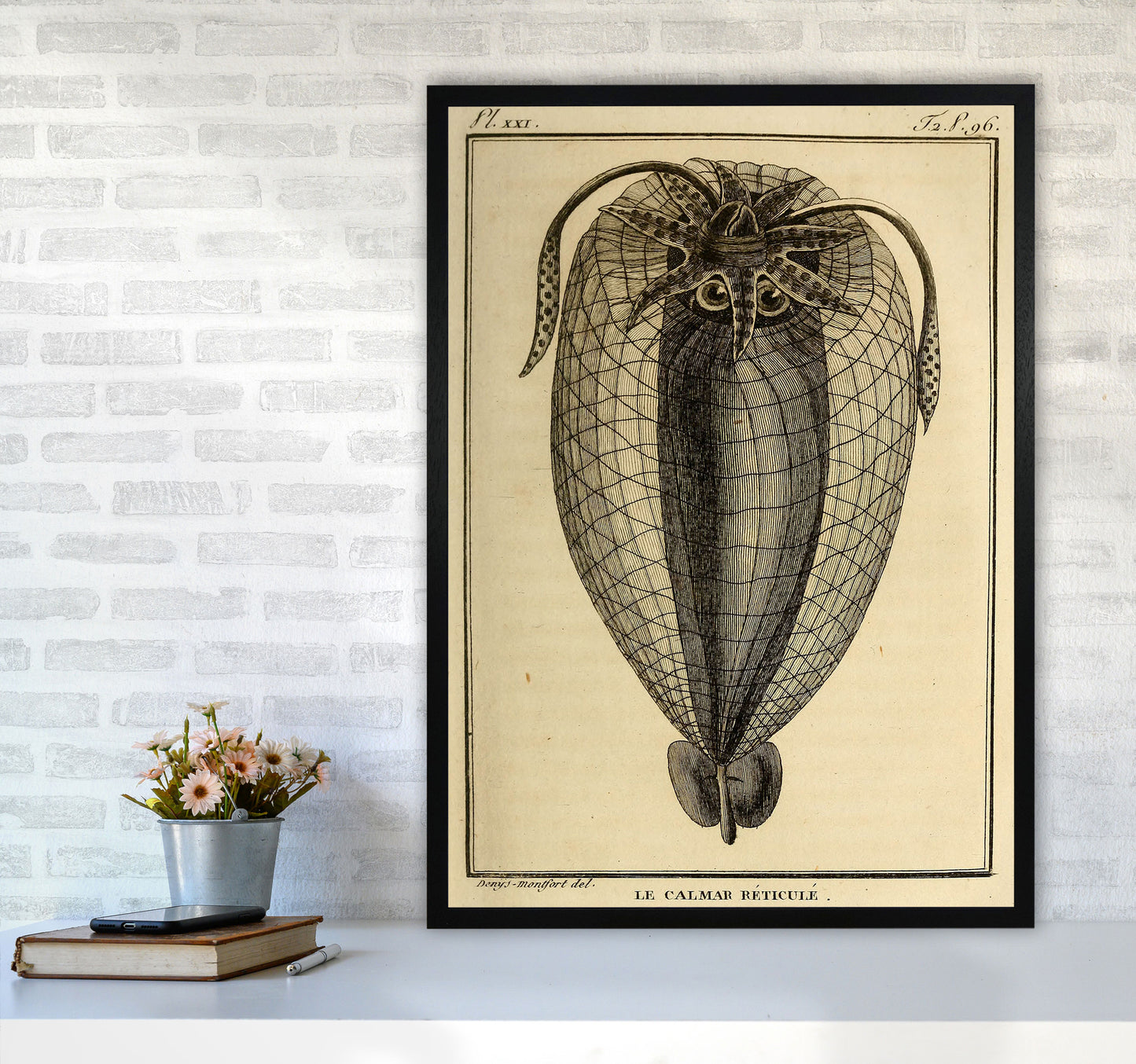 Vintage Squid 4 Art Print by Jason Stanley A1 White Frame