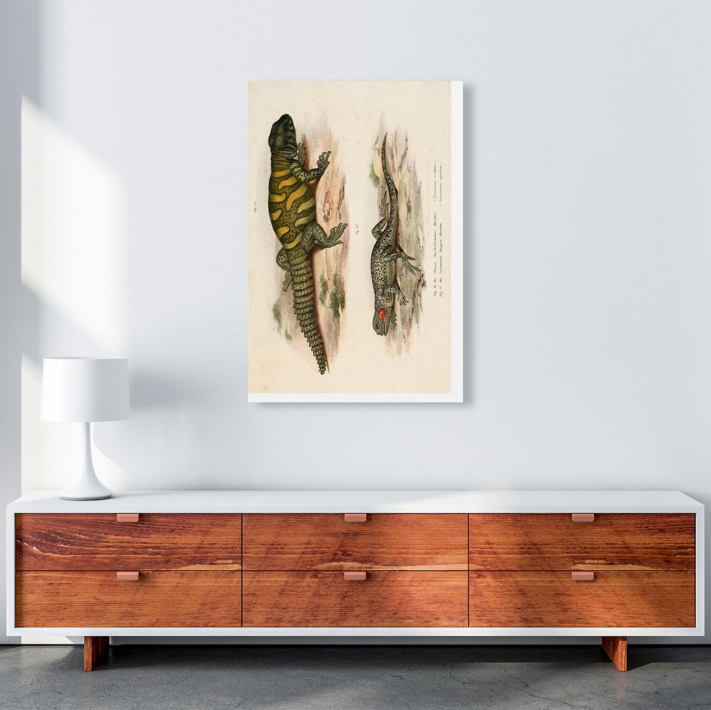 Vintage Lizard Illustration Art Print by Jason Stanley A1 Canvas