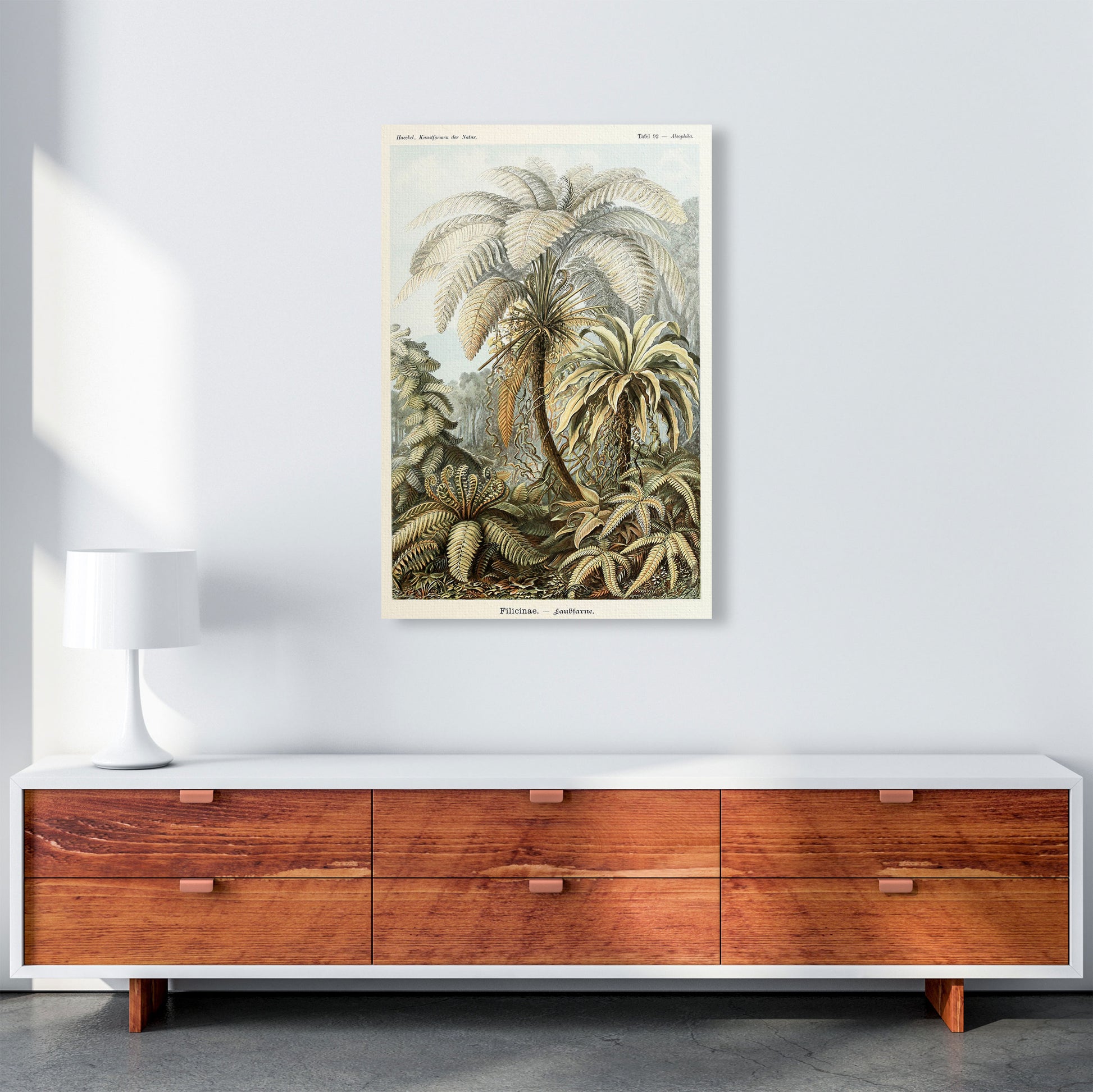 Vintage Jungle Illustration Art Print by Jason Stanley A1 Canvas