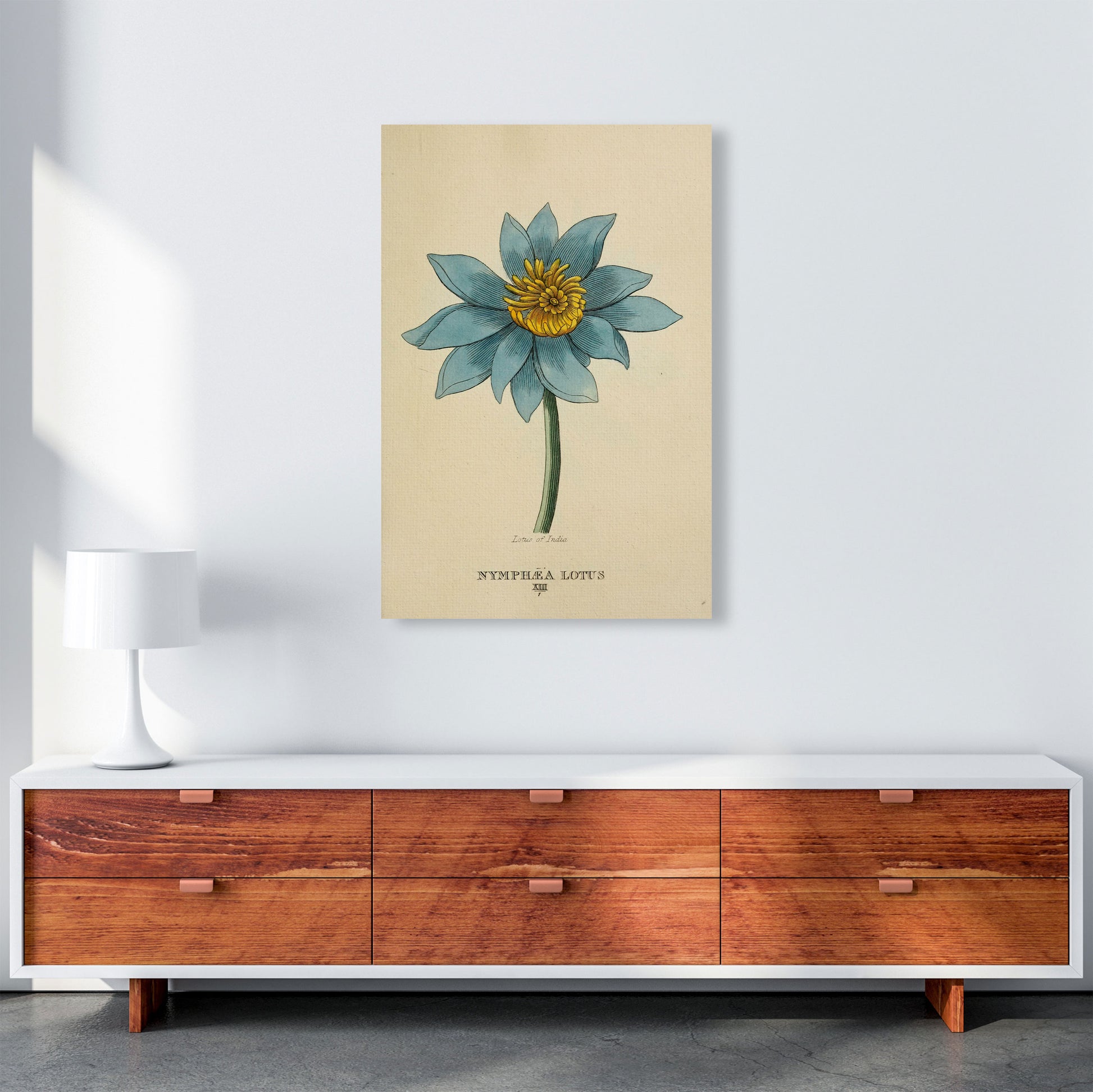 Vintage Lotus Flower Art Print by Jason Stanley A1 Canvas
