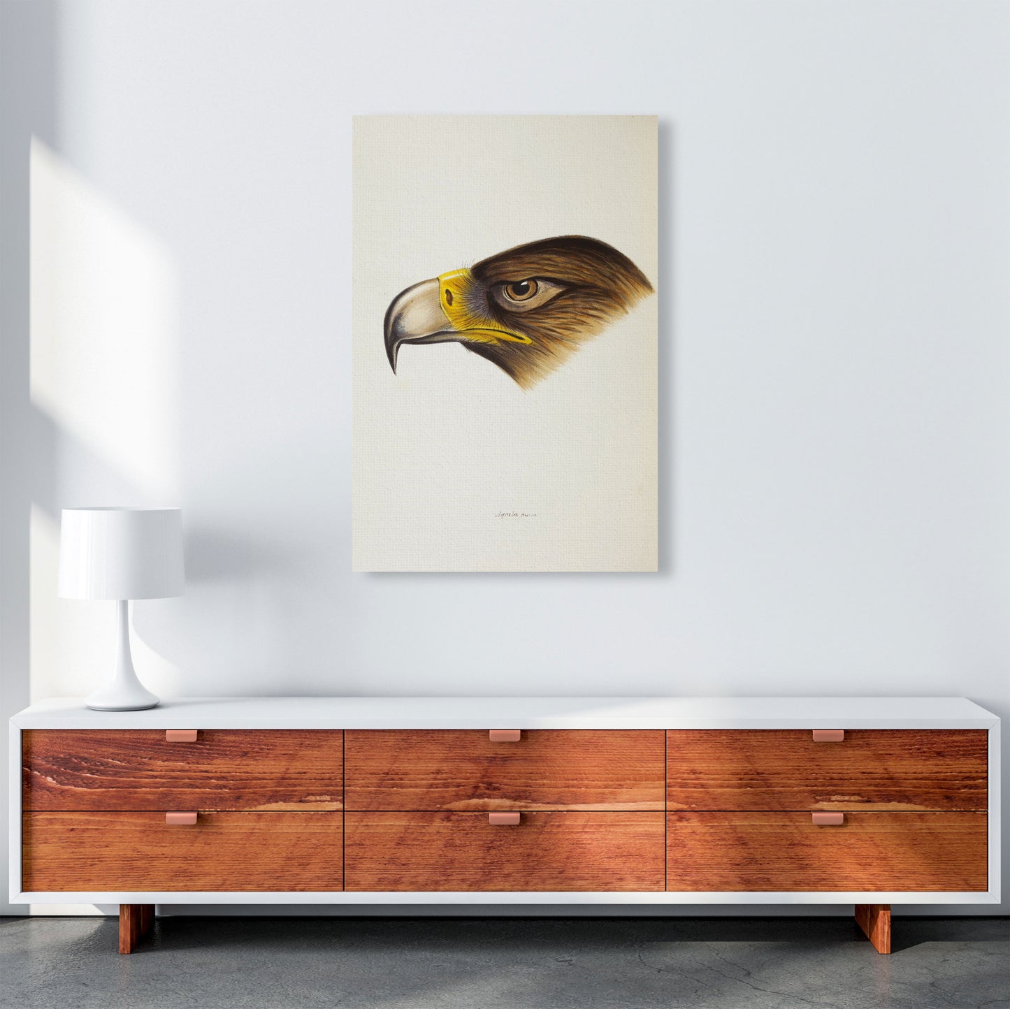 Vintage Eagle Face Art Print by Jason Stanley A1 Canvas
