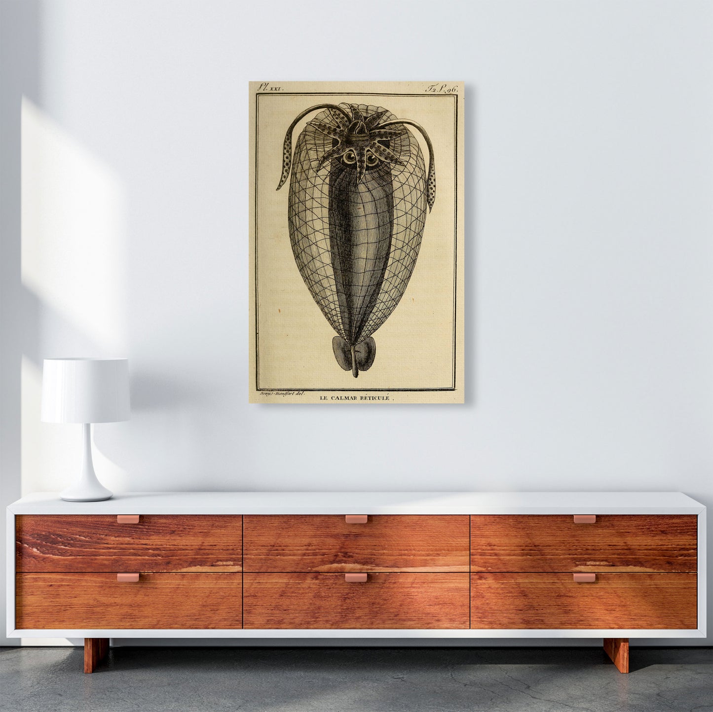 Vintage Squid 4 Art Print by Jason Stanley A1 Canvas