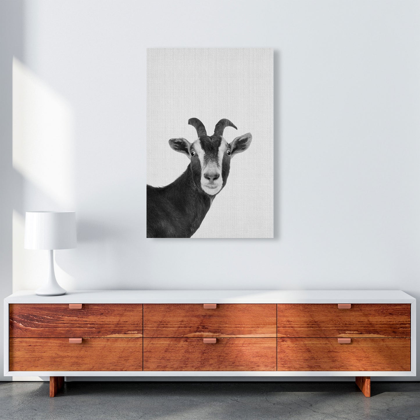 Surprised Goat Art Print by Jason Stanley A1 Canvas