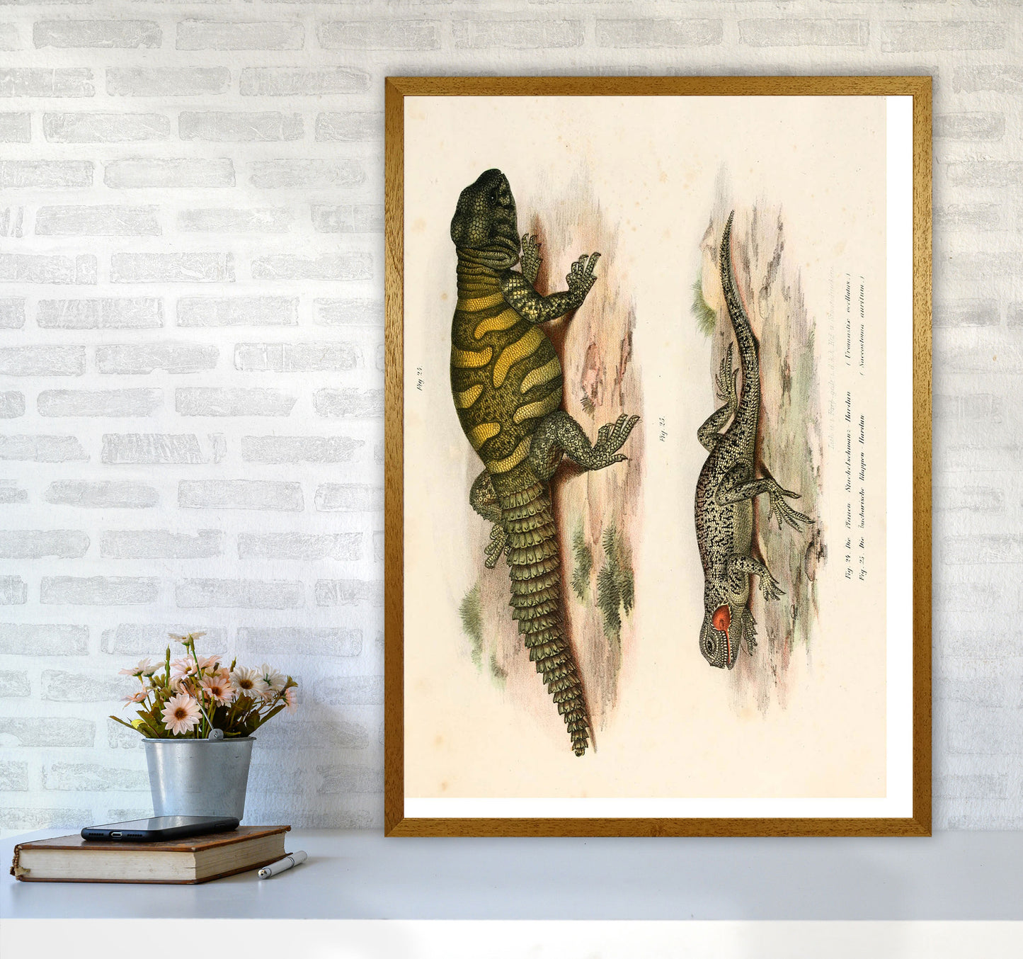 Vintage Lizard Illustration Art Print by Jason Stanley A1 Print Only