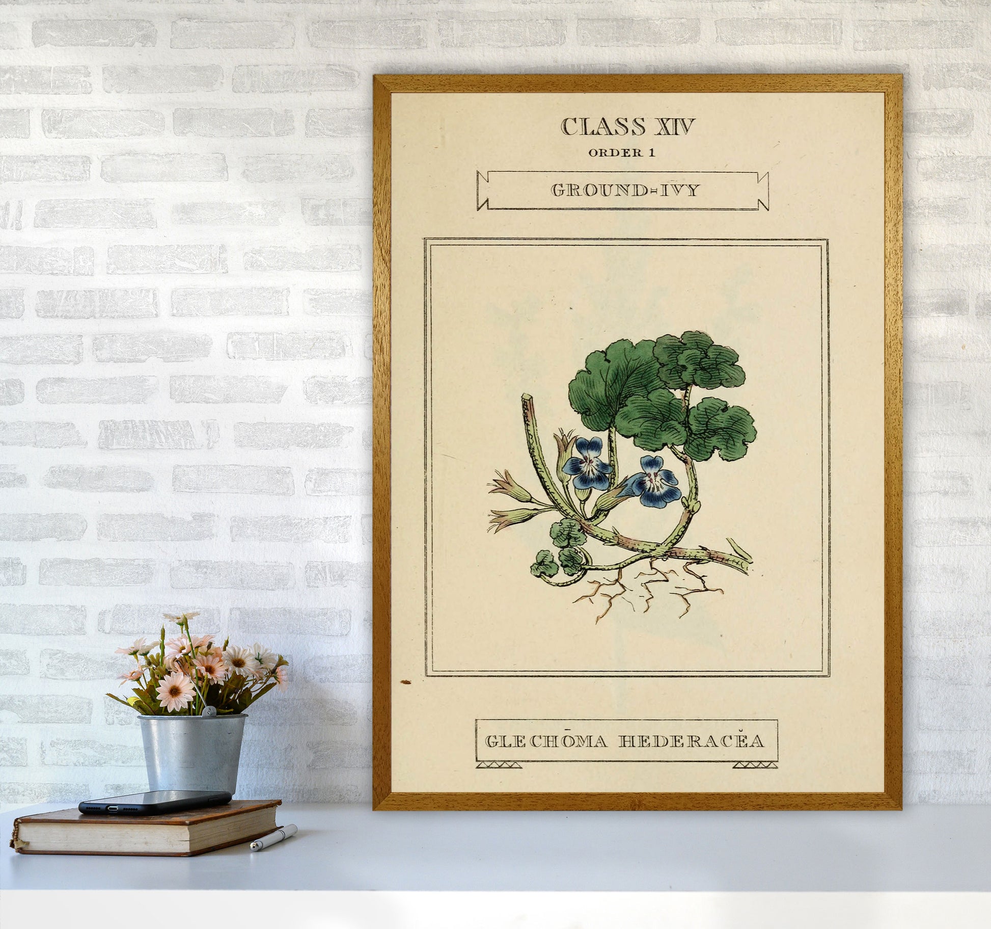 Vintage Flower Series 8 Art Print by Jason Stanley A1 Print Only
