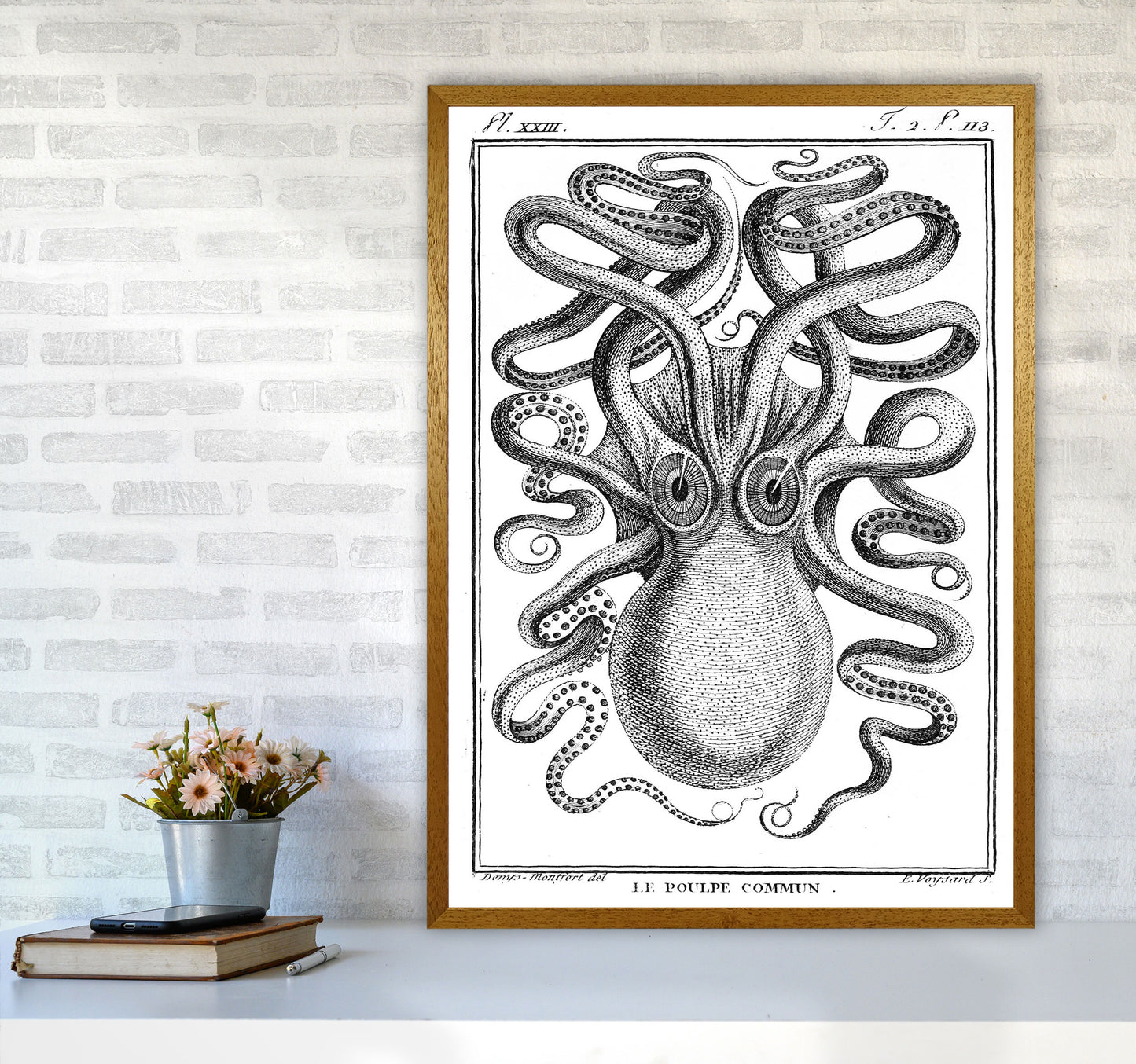 White Vintage Octopus Art Print by Jason Stanley A1 Print Only