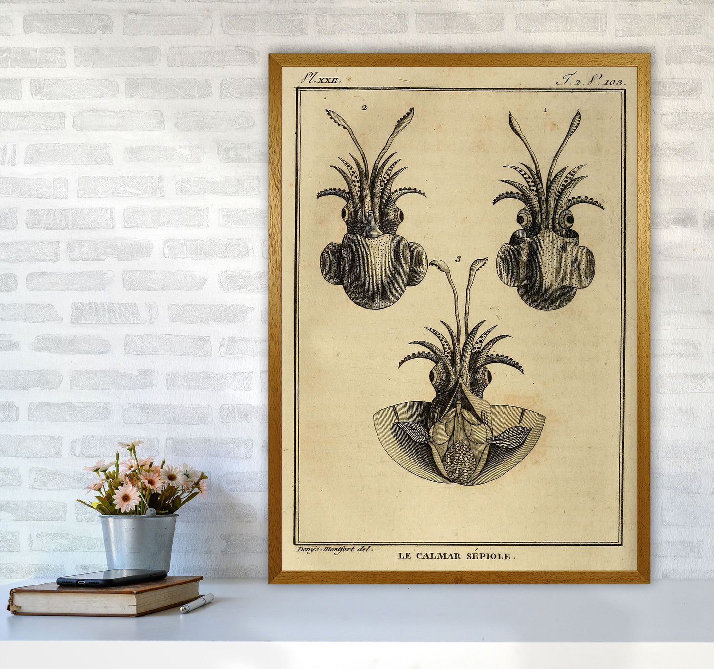 Vintage Squid 3 Art Print by Jason Stanley A1 Print Only
