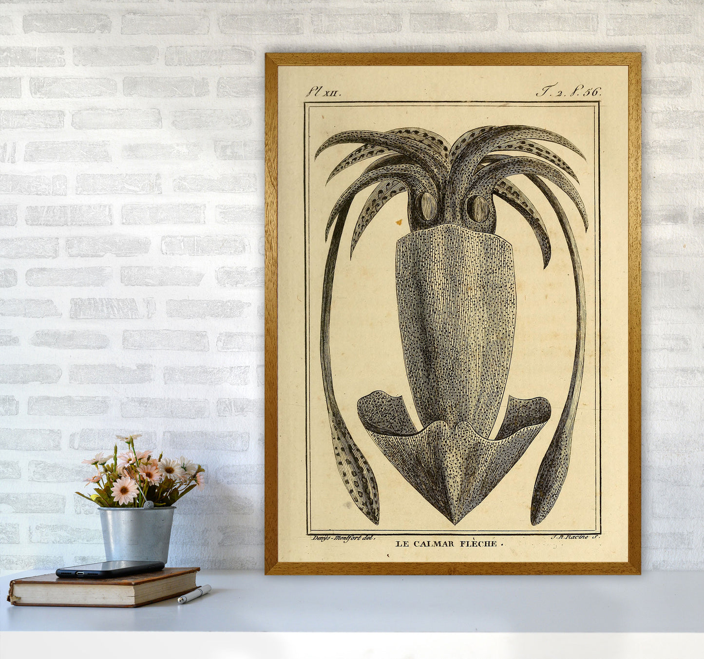 Vintage Squid 2 Art Print by Jason Stanley A1 Print Only