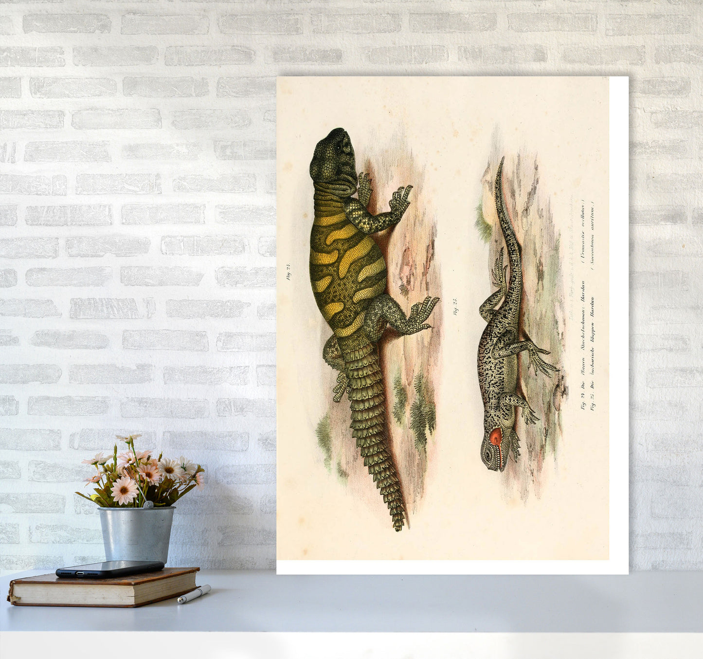 Vintage Lizard Illustration Art Print by Jason Stanley A1 Black Frame