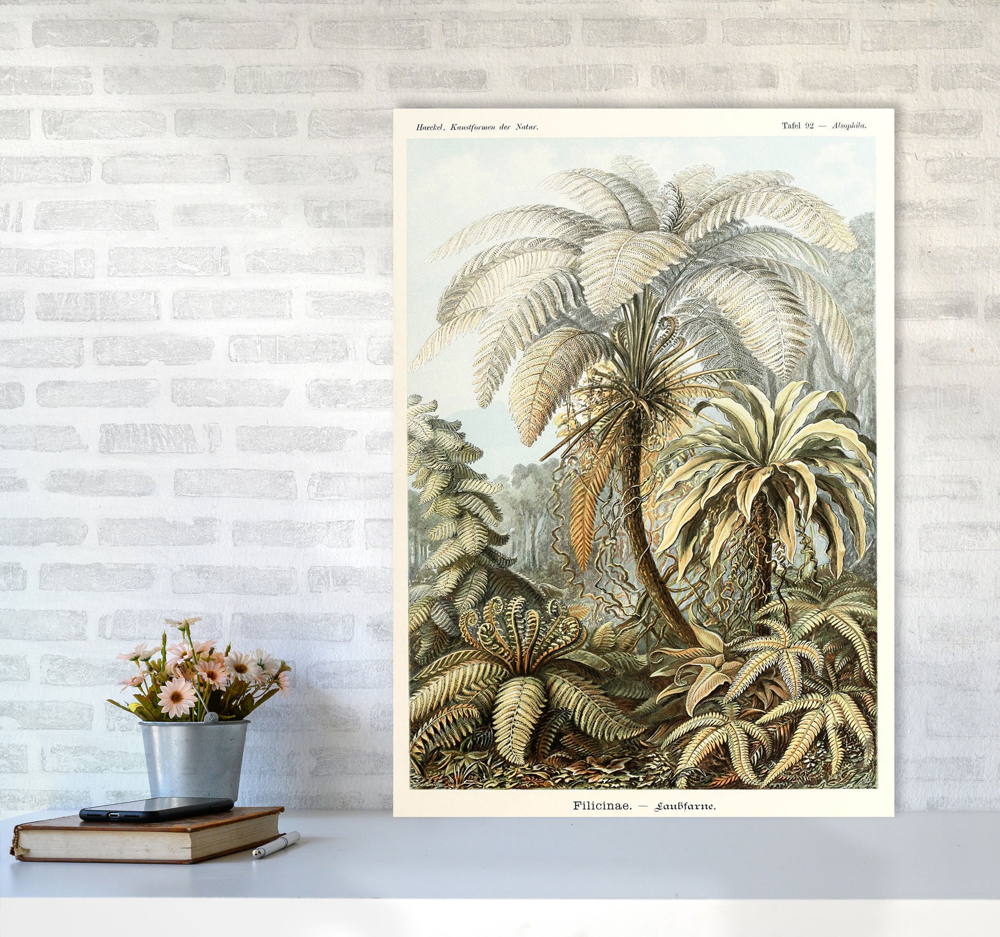 Vintage Jungle Illustration Art Print by Jason Stanley A1 Black Frame