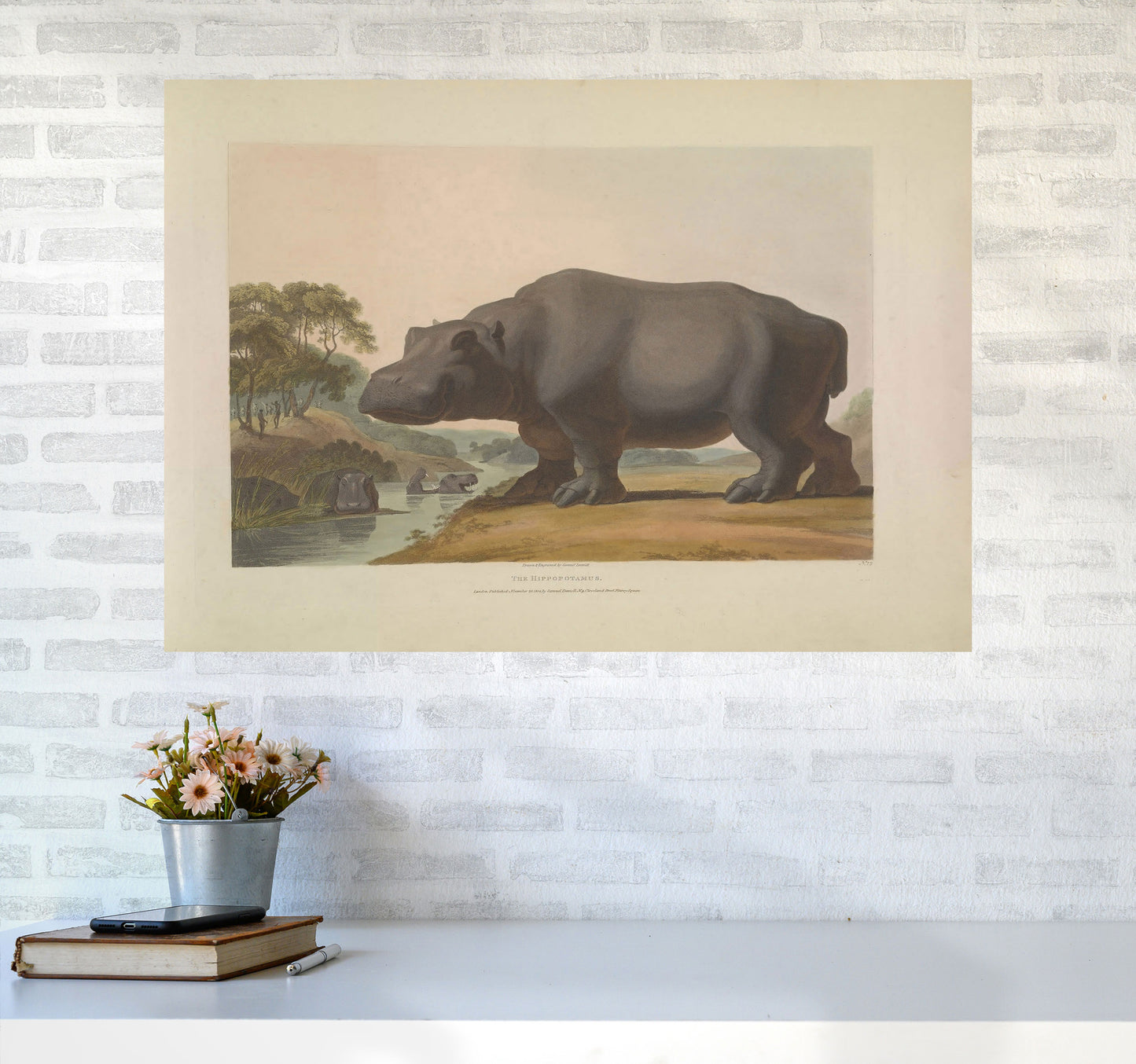 Vintage Hippo Illustration Art Print by Jason Stanley A1 Black Frame