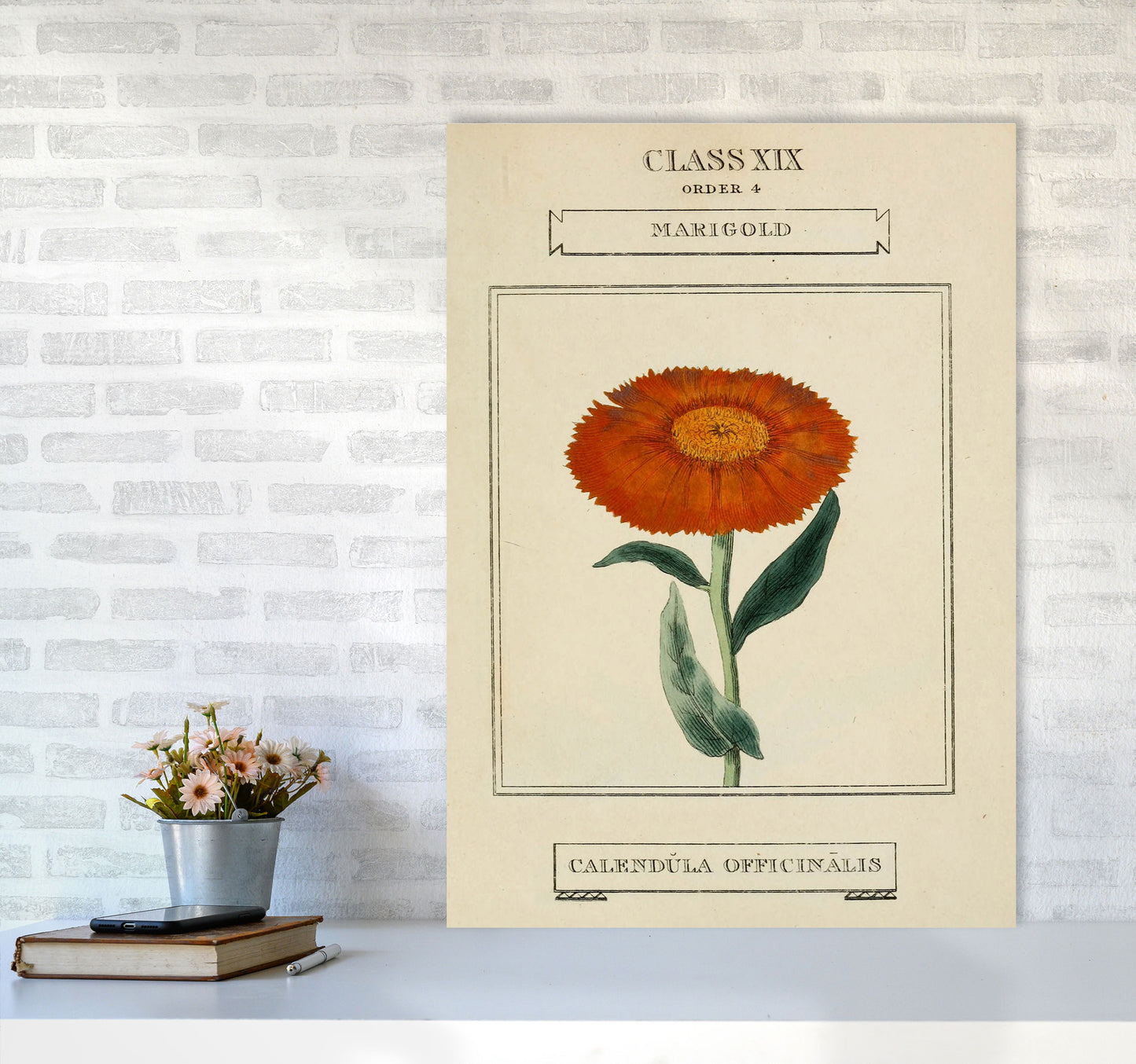Vintage Flower Series 9 Art Print by Jason Stanley A1 Black Frame