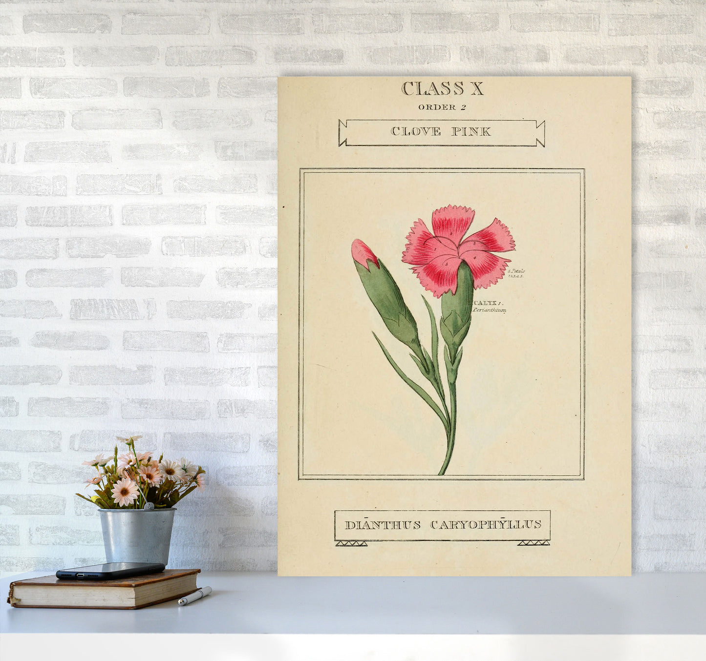 Vintage Flower Series 4 Art Print by Jason Stanley A1 Black Frame