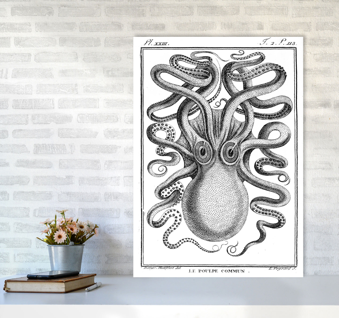 White Vintage Octopus Art Print by Jason Stanley A1 Black Frame