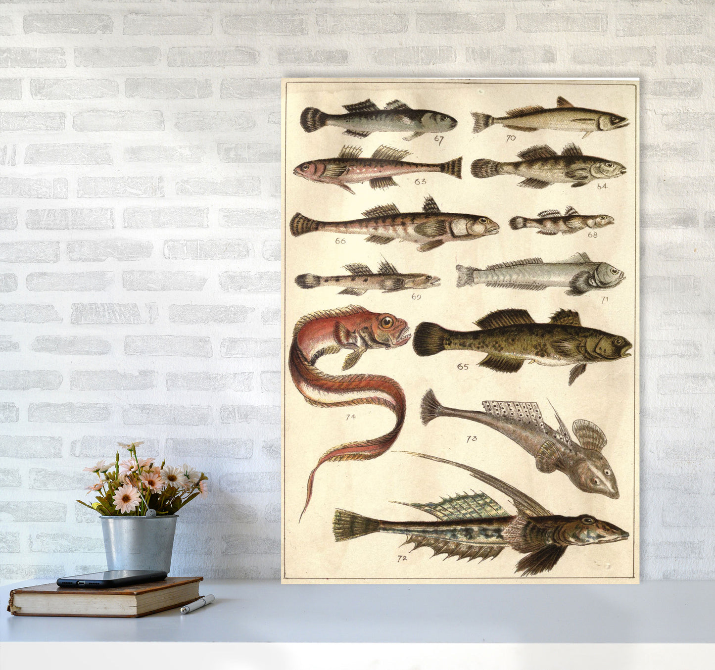 Creatures Of The Sea Art Print by Jason Stanley A1 Black Frame