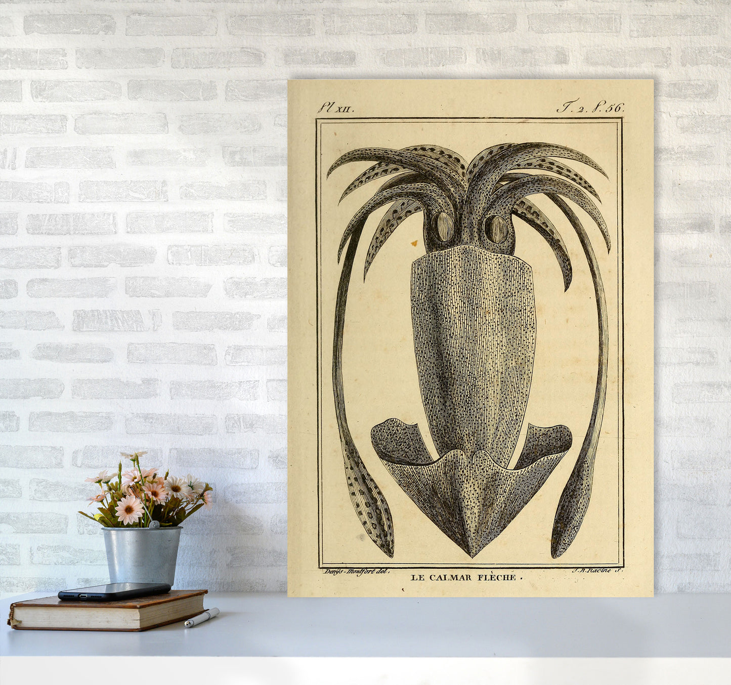 Vintage Squid 2 Art Print by Jason Stanley A1 Black Frame