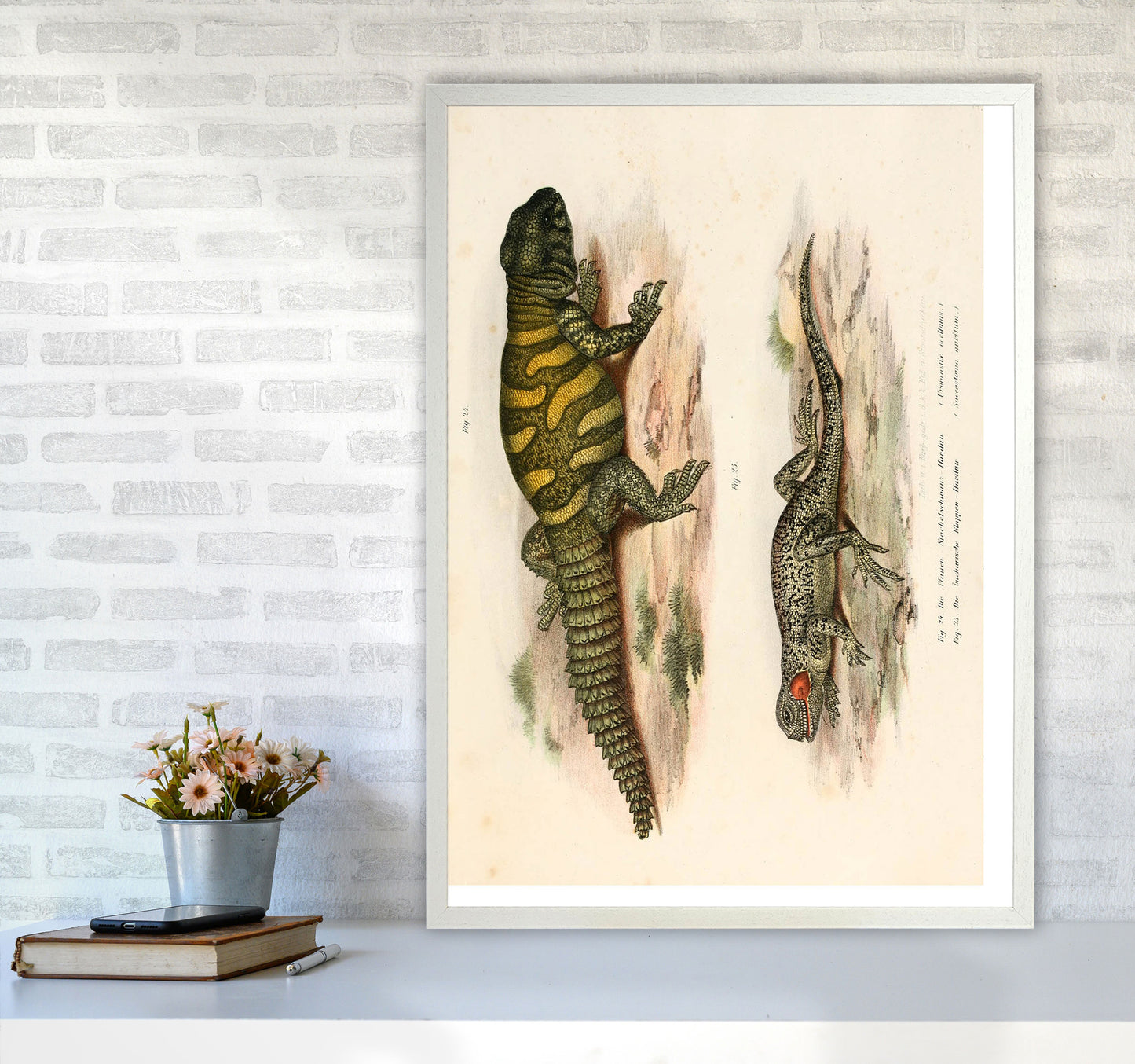 Vintage Lizard Illustration Art Print by Jason Stanley A1 Oak Frame