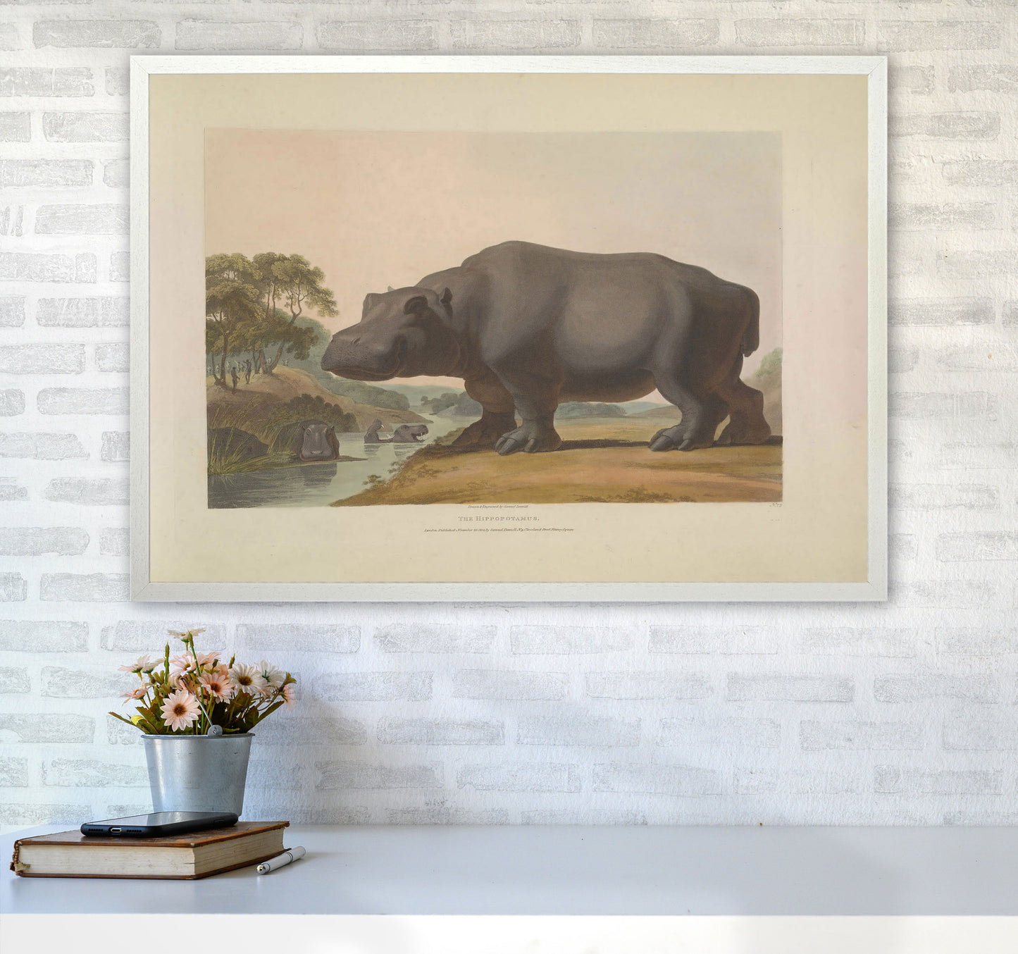 Vintage Hippo Illustration Art Print by Jason Stanley A1 Oak Frame