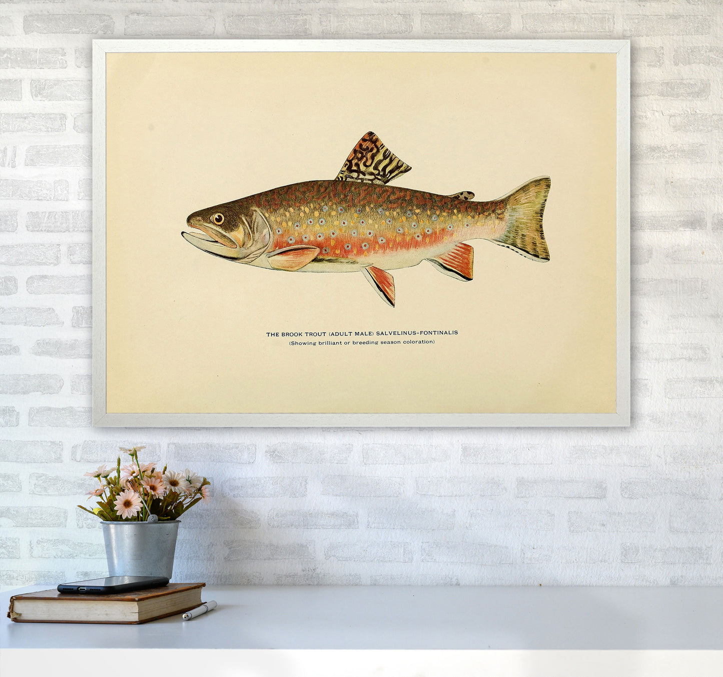 Brook Trout Illustration Art Print by Jason Stanley A1 Oak Frame