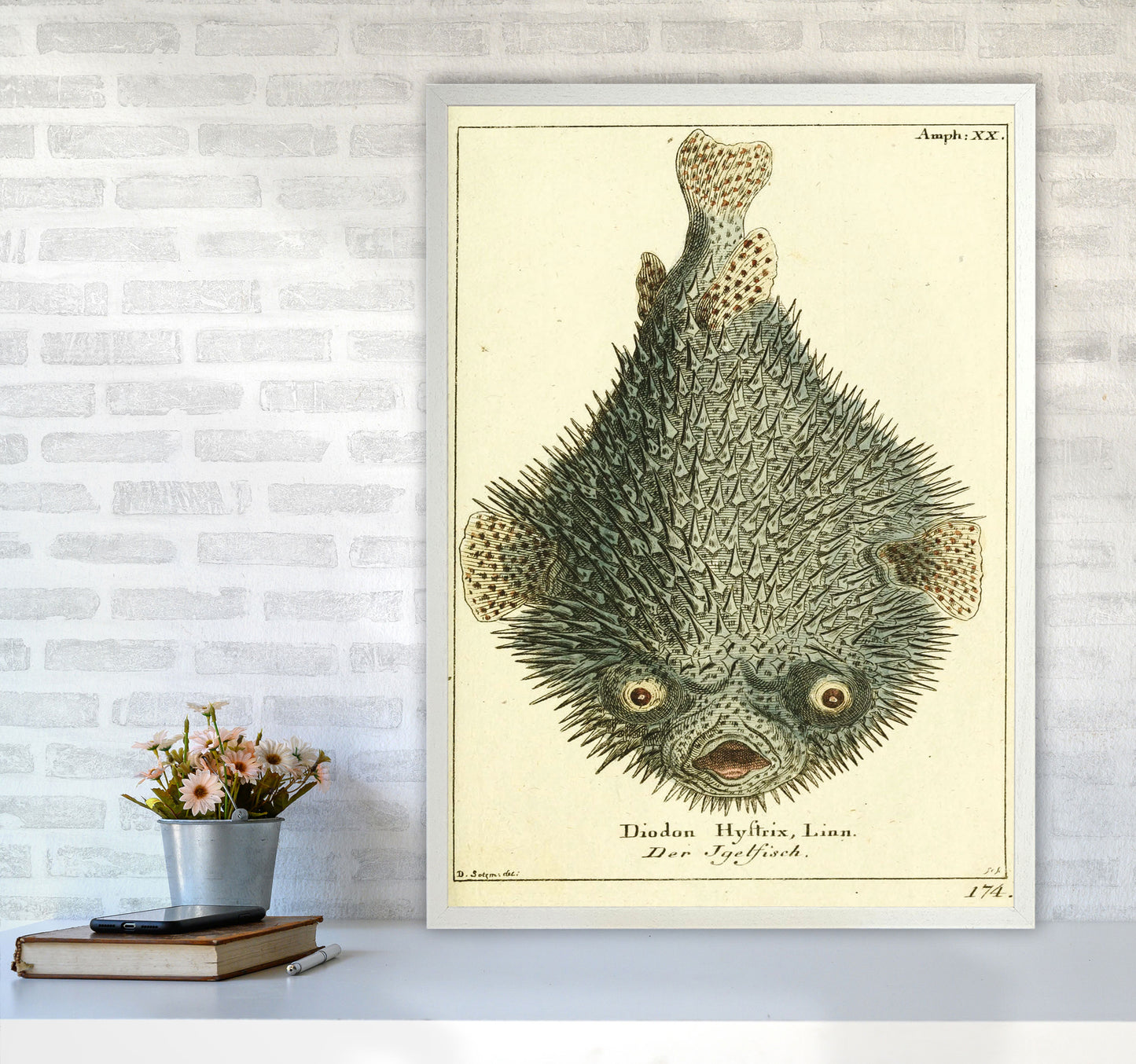 Vintage Japanese Fish Art Print by Jason Stanley A1 Oak Frame