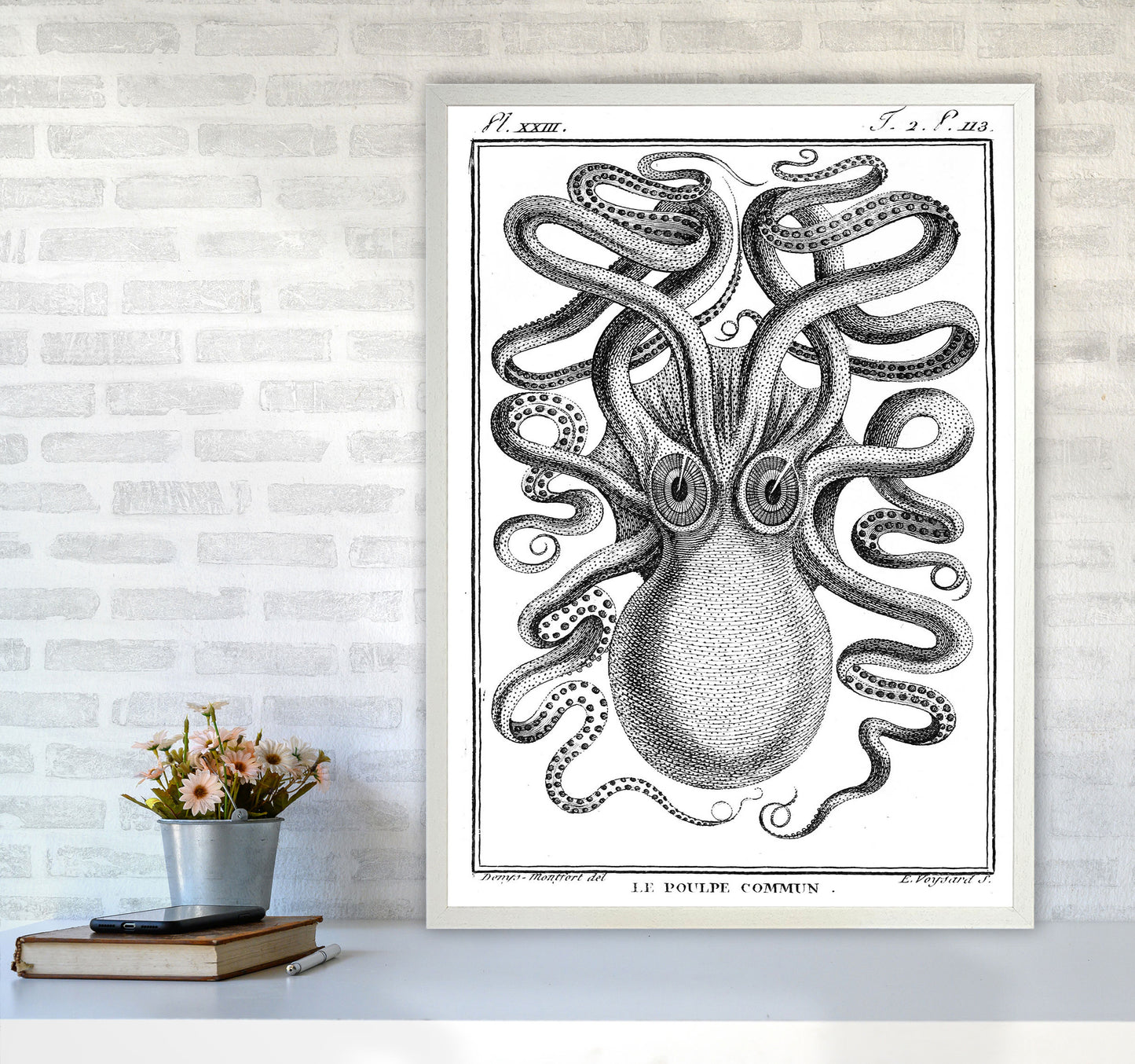 White Vintage Octopus Art Print by Jason Stanley A1 Oak Frame