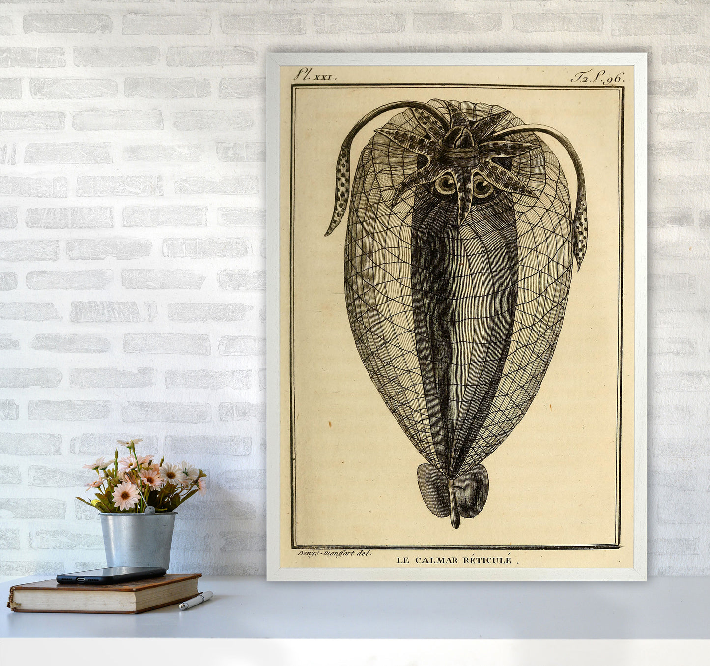 Vintage Squid 4 Art Print by Jason Stanley A1 Oak Frame