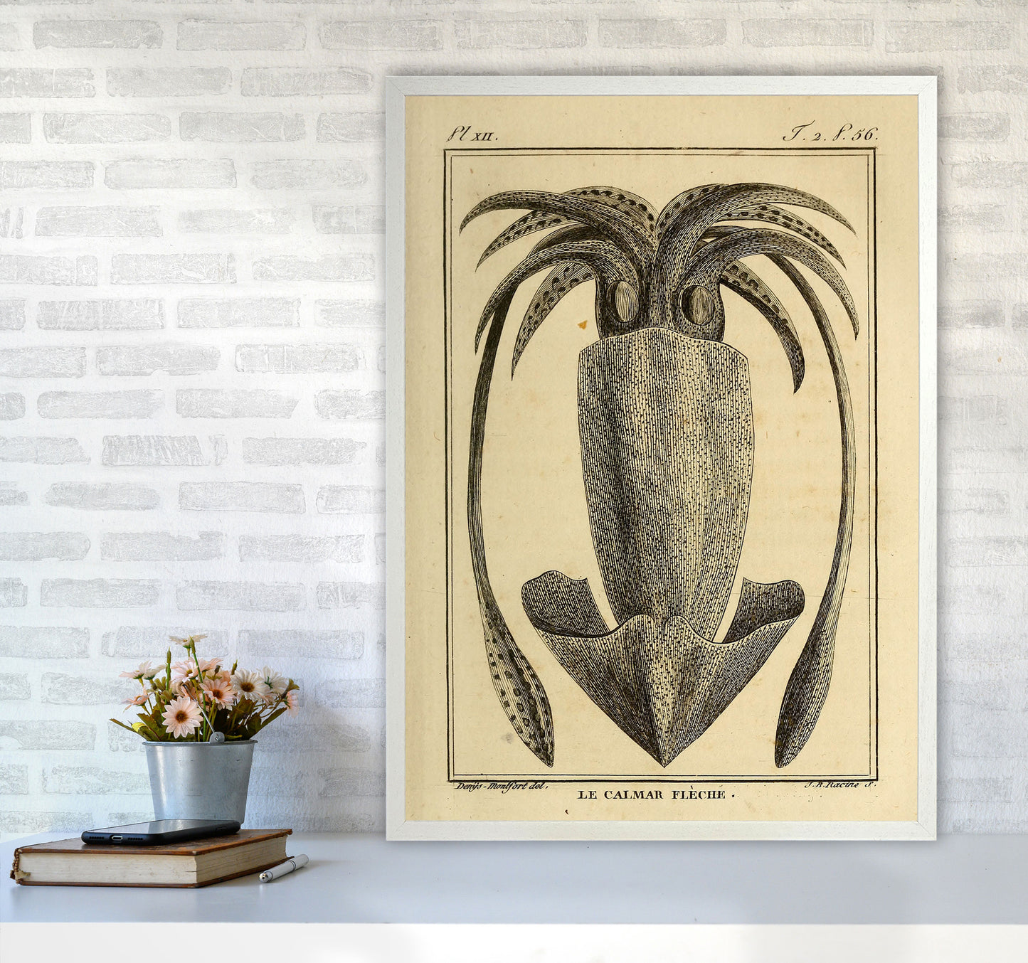 Vintage Squid 2 Art Print by Jason Stanley A1 Oak Frame