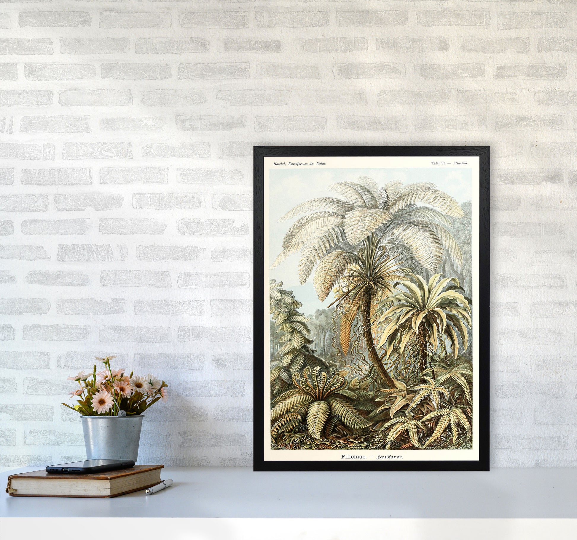Vintage Jungle Illustration Art Print by Jason Stanley A2 White Frame