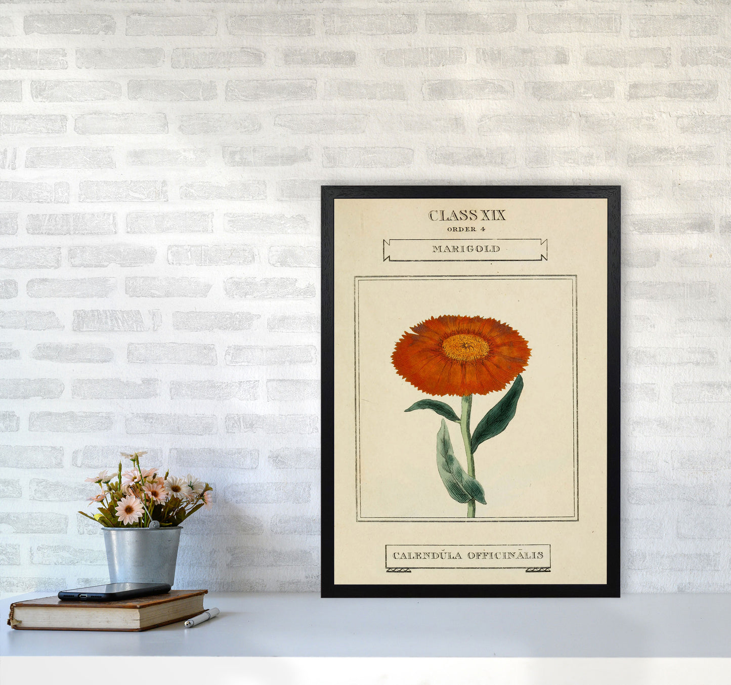 Vintage Flower Series 9 Art Print by Jason Stanley A2 White Frame