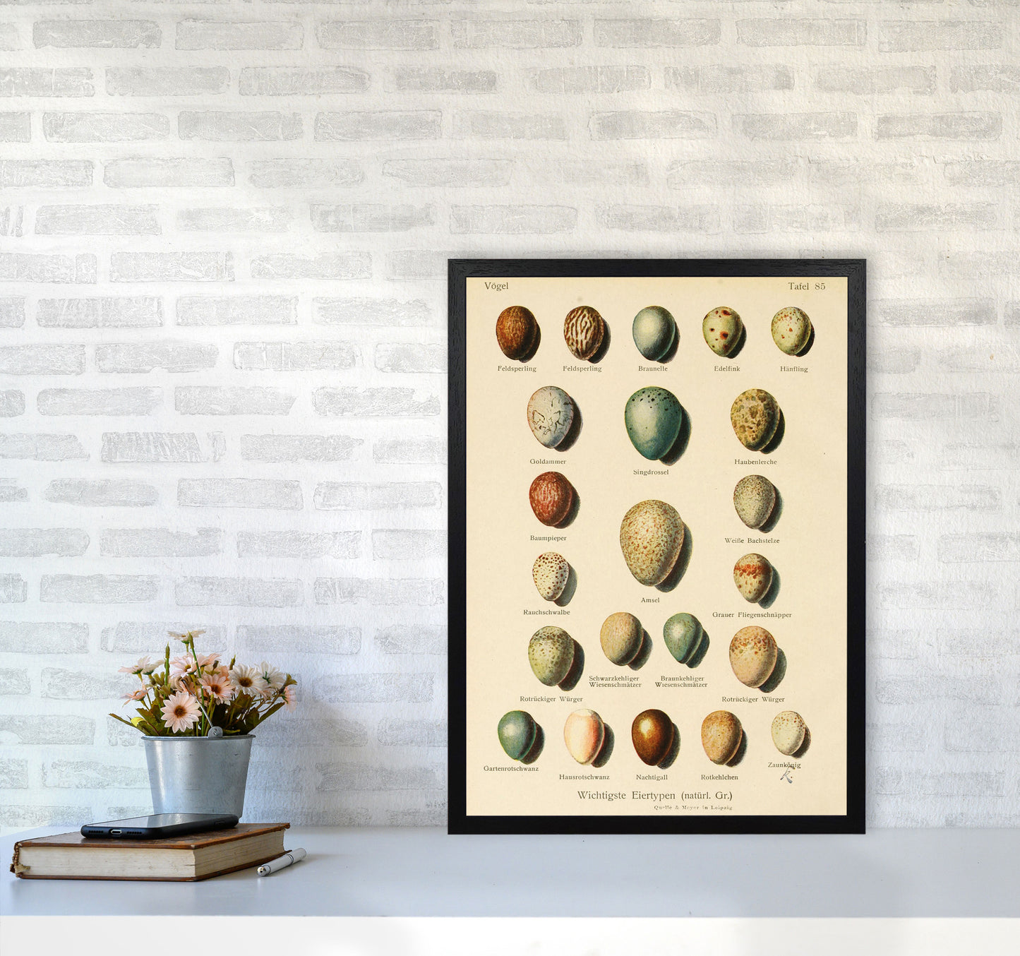 Vintage Set Of Eggs Art Print by Jason Stanley A2 White Frame